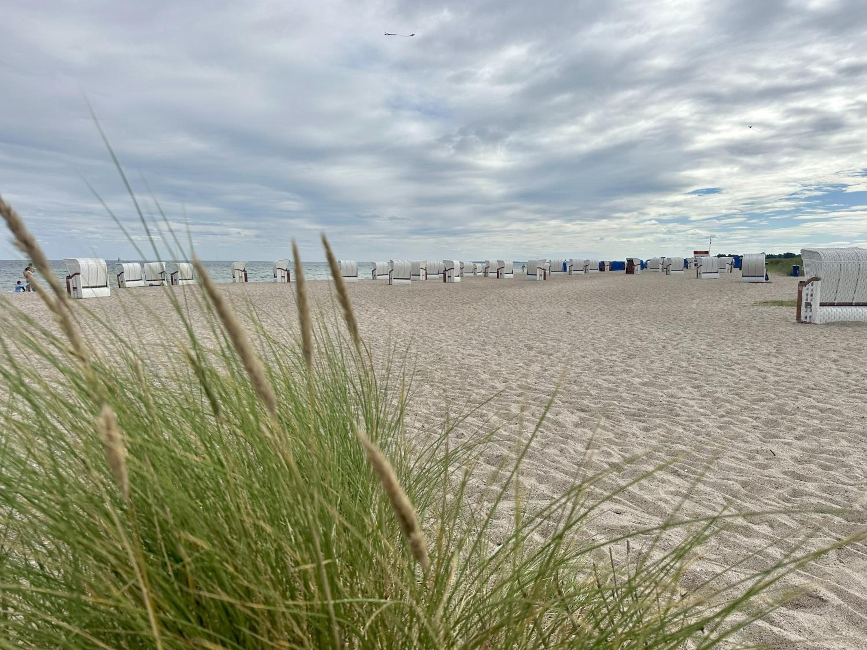 Surfbude, Olpenitz - moderne Ferienwohnung in direkter Strandnähe mit eigenem Eingang, Sauna, Kaminofen, Balkonterrasse und Parkplatz