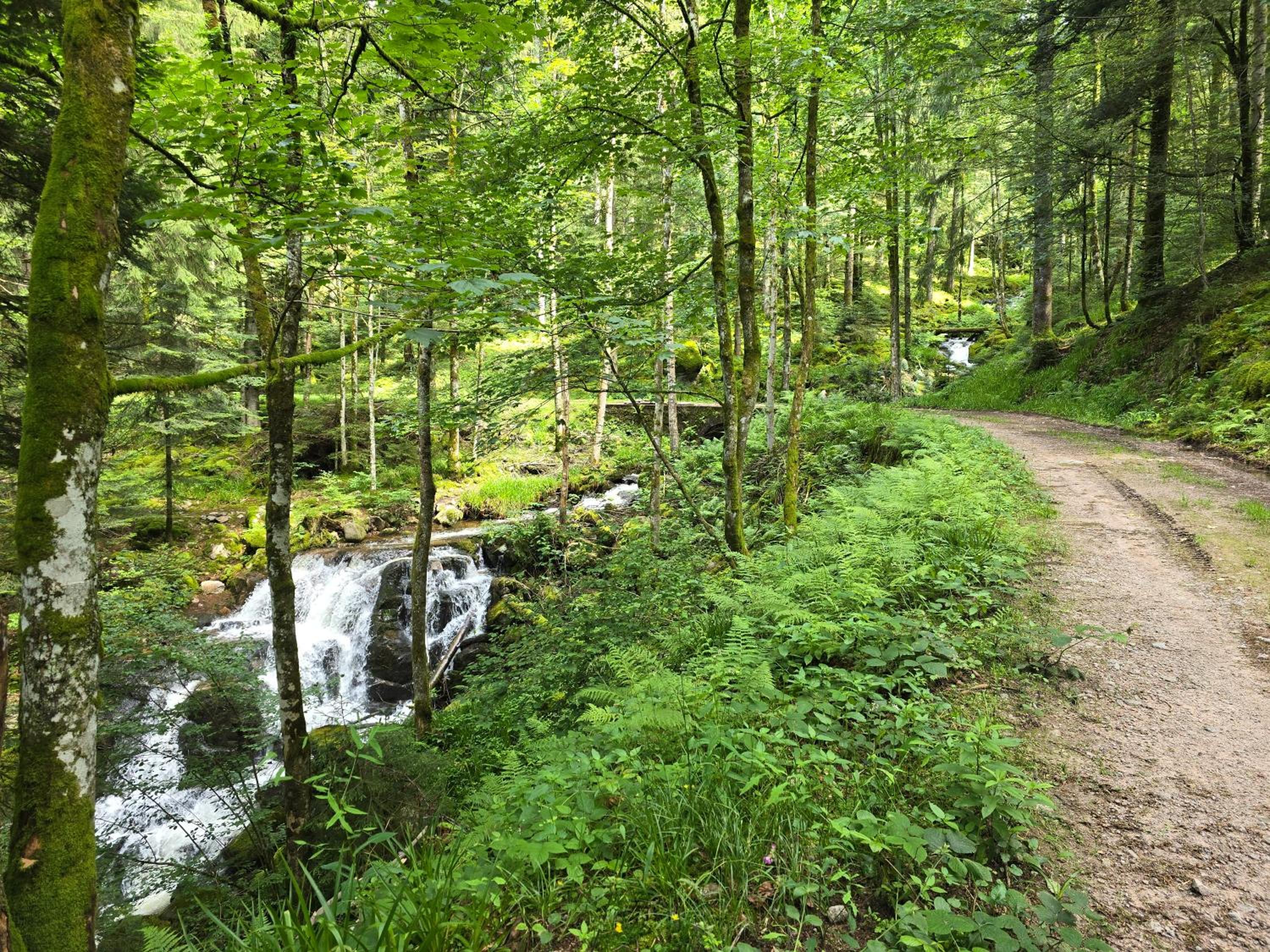 Chalet sous les sapins, calme, superbe vue avec piscine et sauna photo 4