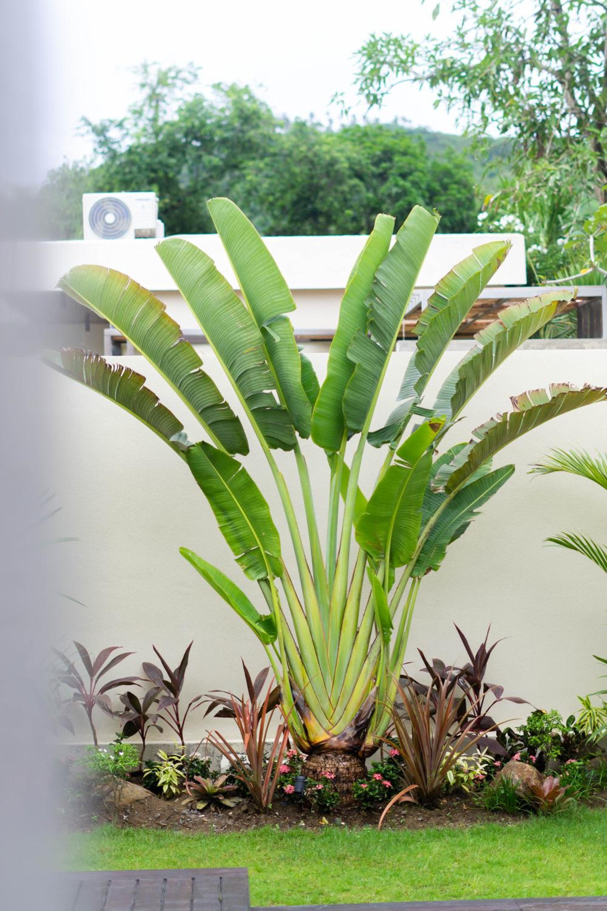VIP Villas and Wellness Resort in Kuta Lombok