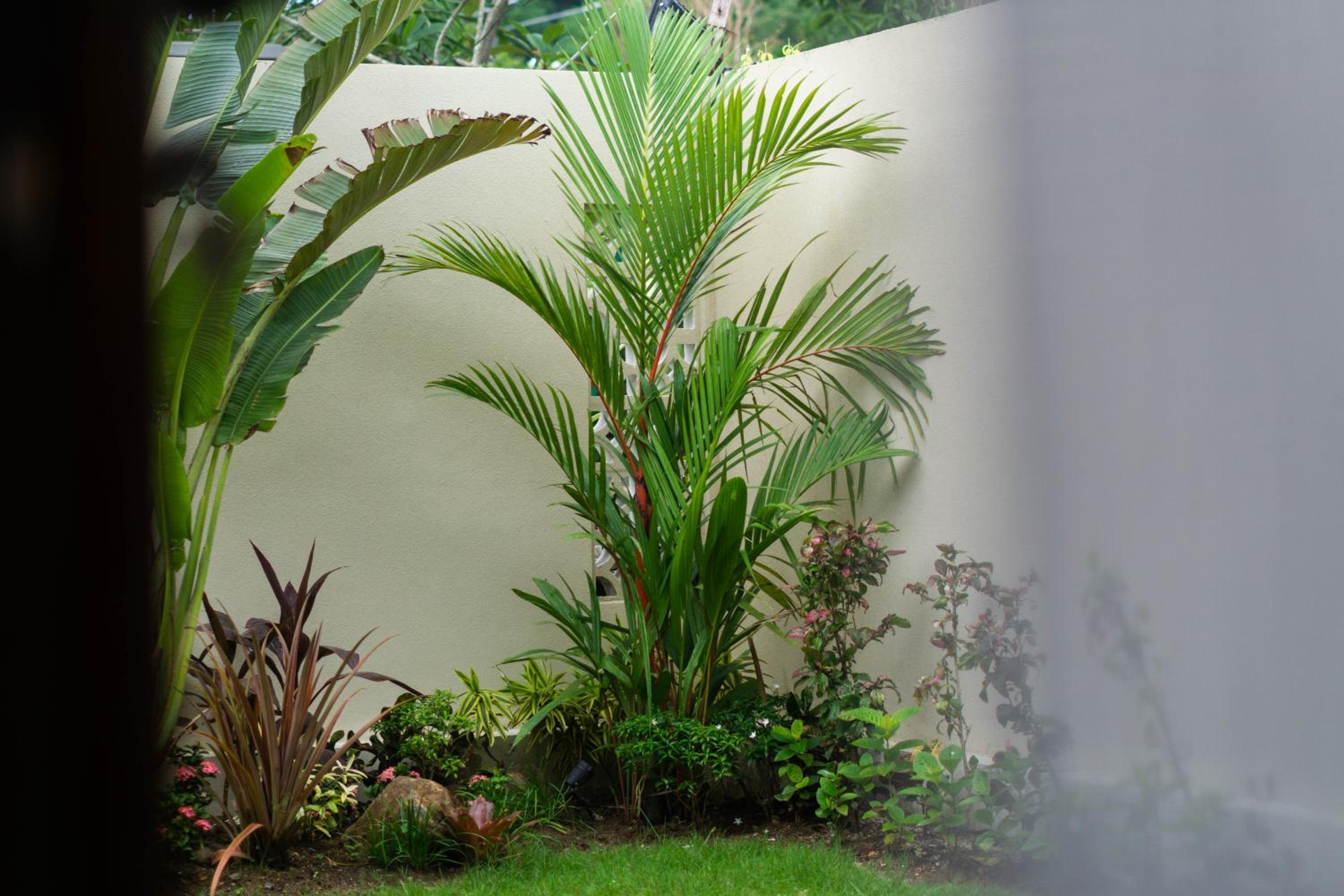 VIP Villas and Wellness Resort in Kuta Lombok