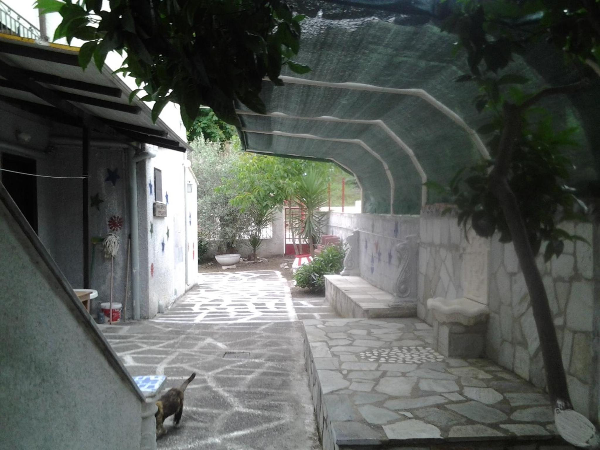 Theoxenia