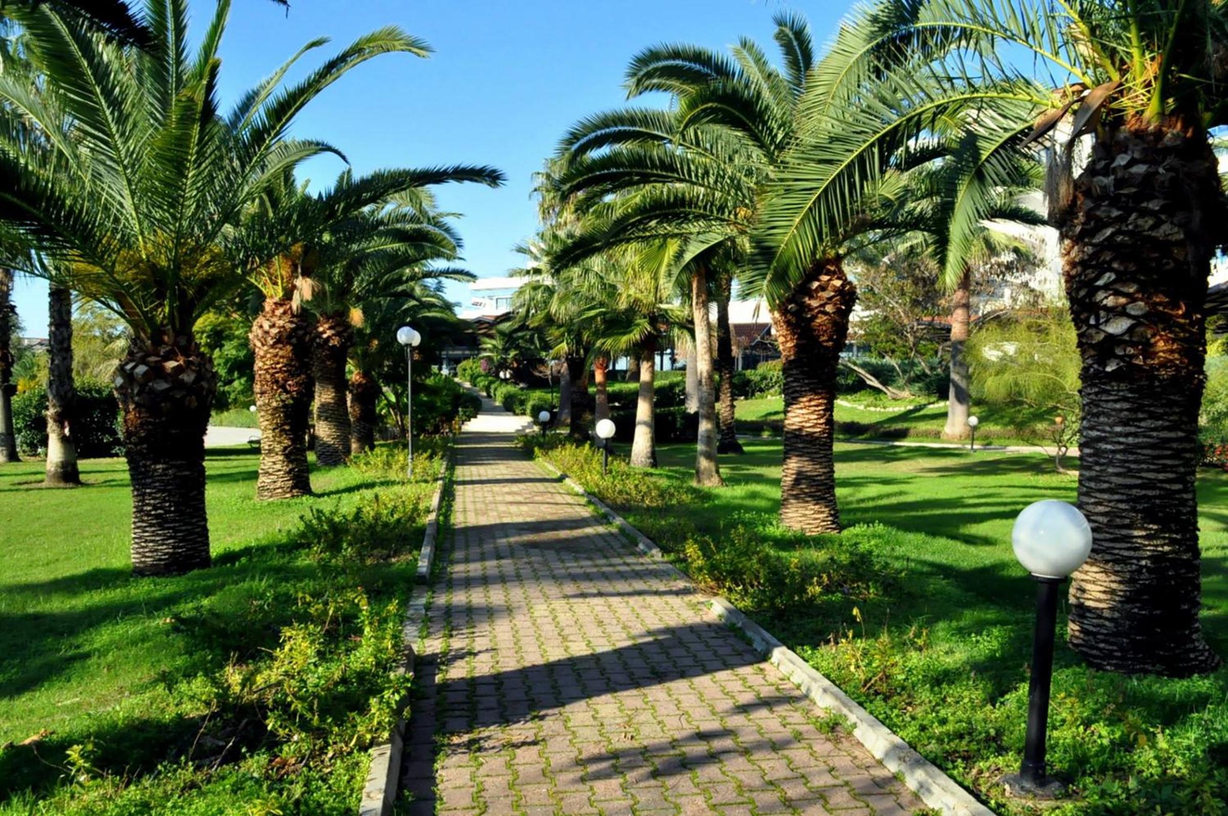 Photo 44