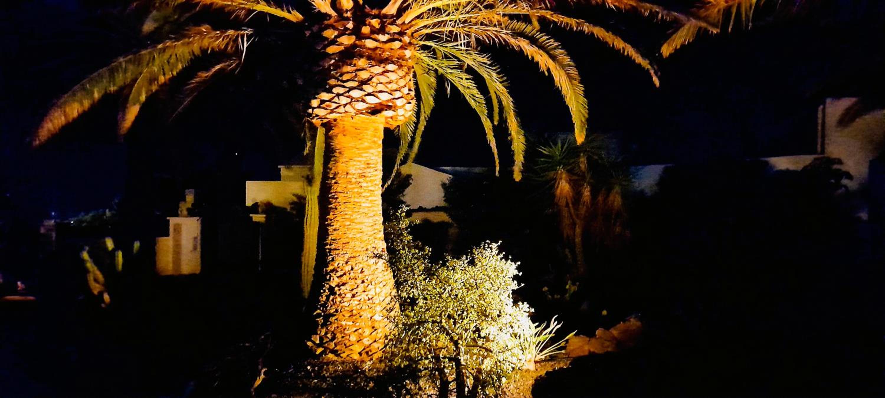 Villa MADORA - private pool, amazing garden, sea view, quiet location