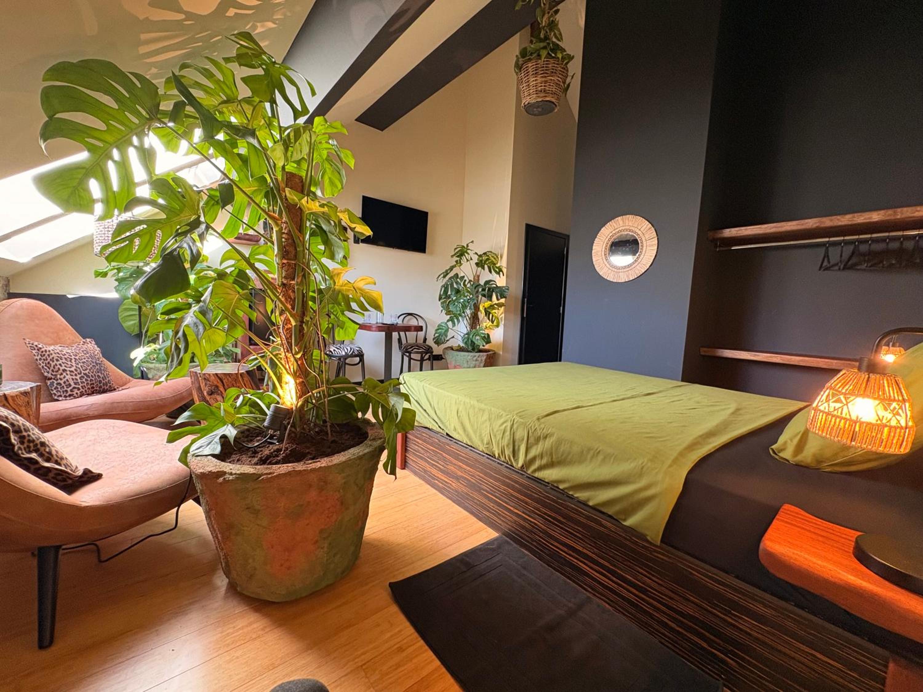 Casa Verde Brugge
