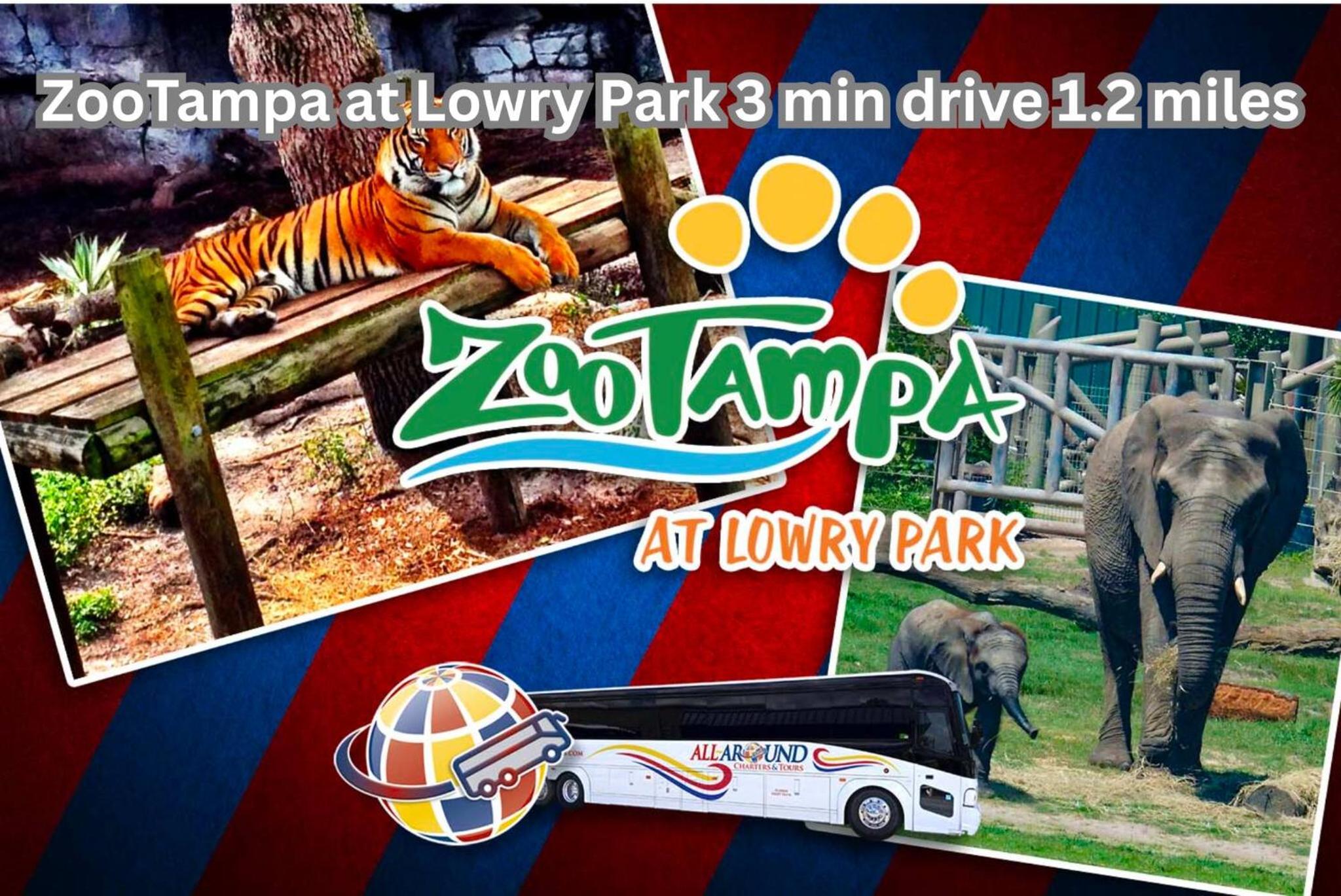 Tampa Family Fun Pool Spa Grill Mini Golf & Games
