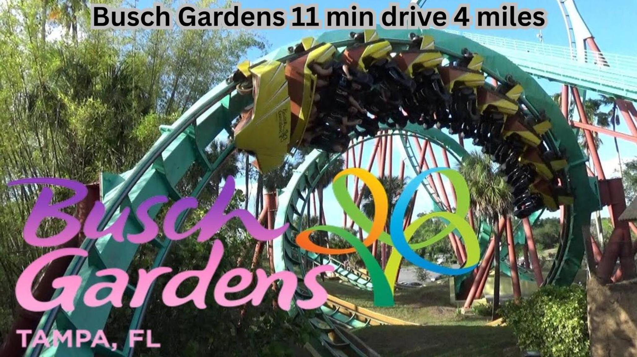 Tampa Family Fun Pool Spa Grill Mini Golf & Games