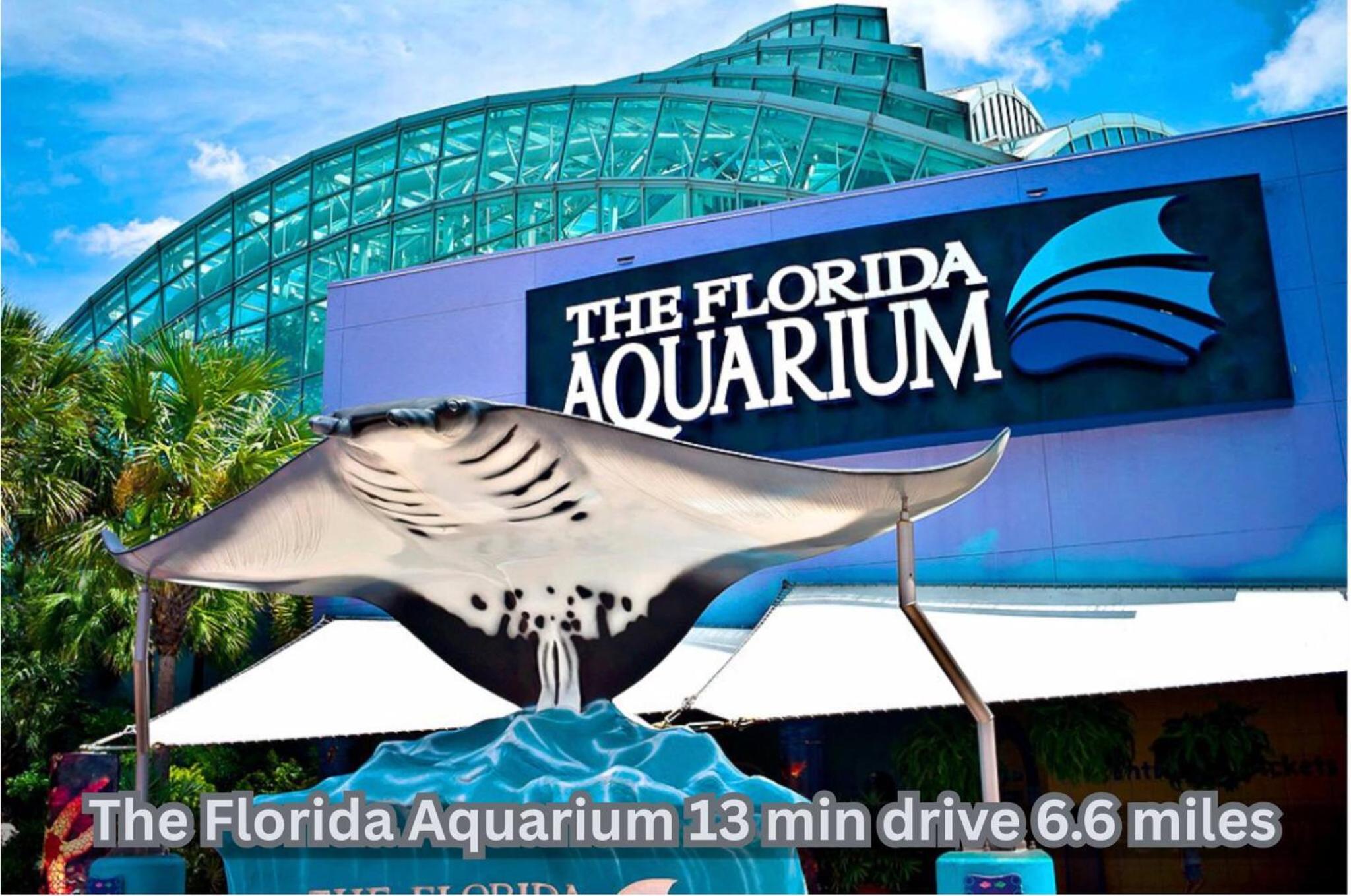 Tampa Family Fun Pool Spa Grill Mini Golf & Games