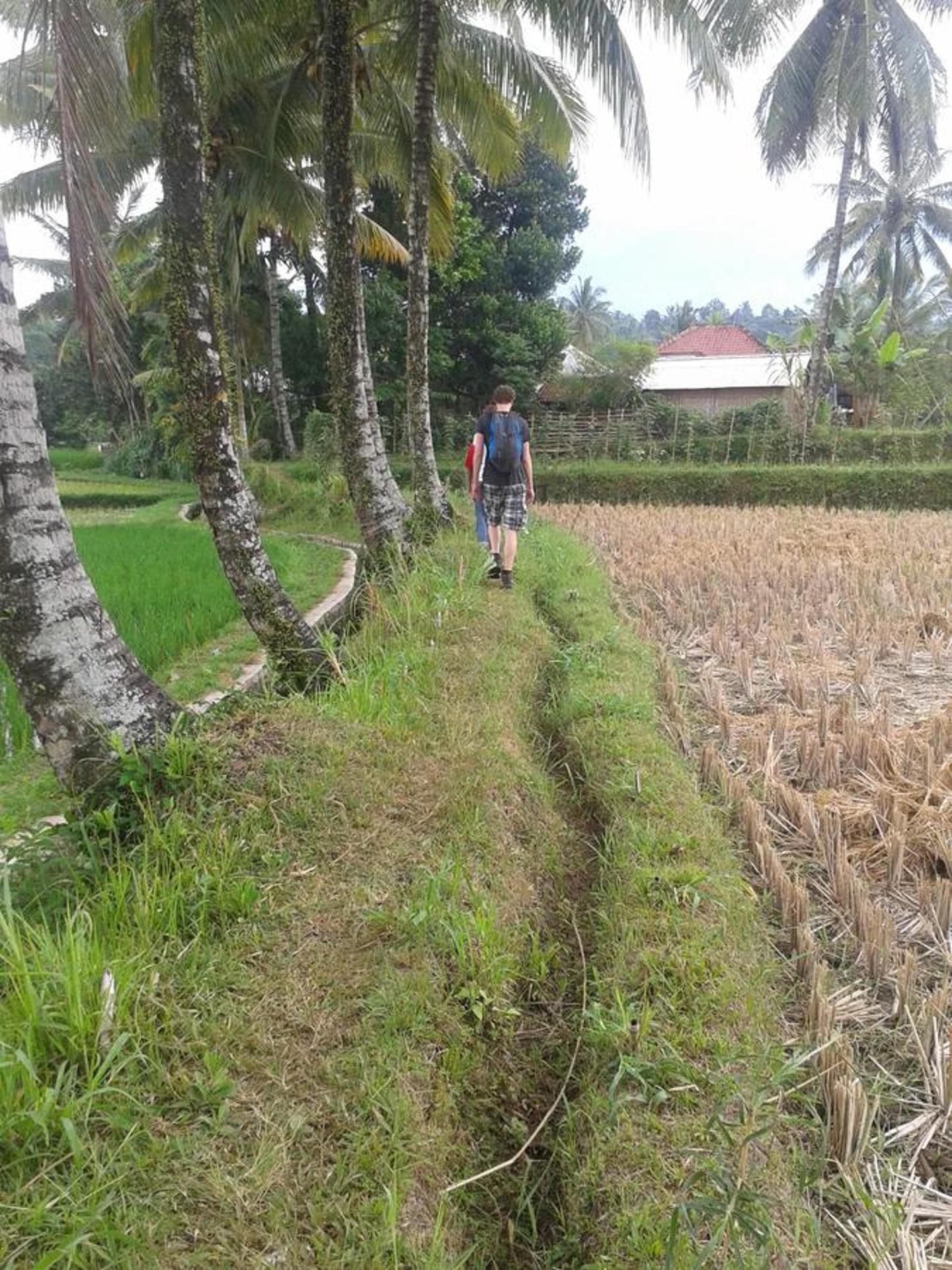 Tetebatu Indah Homestay