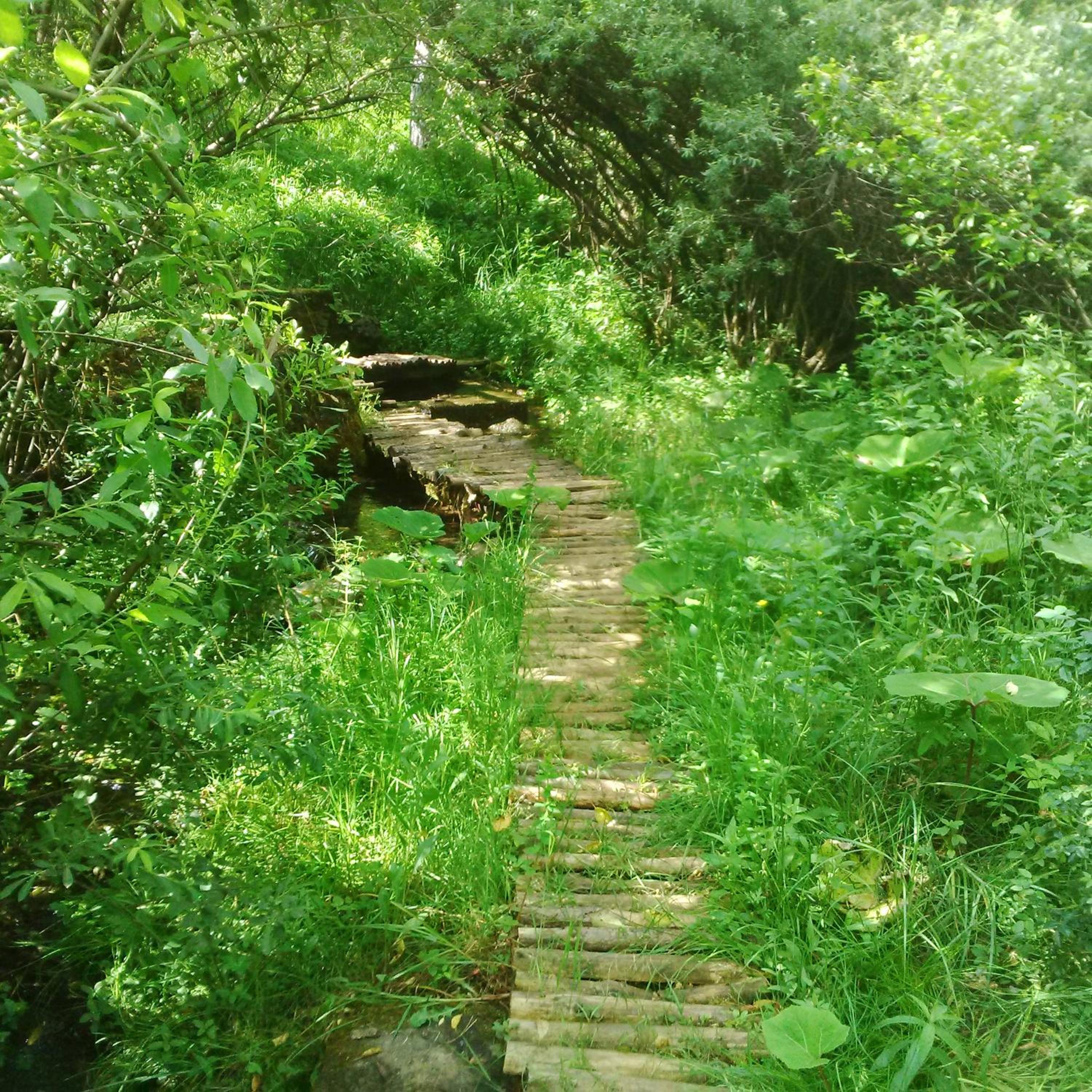 Photo 29