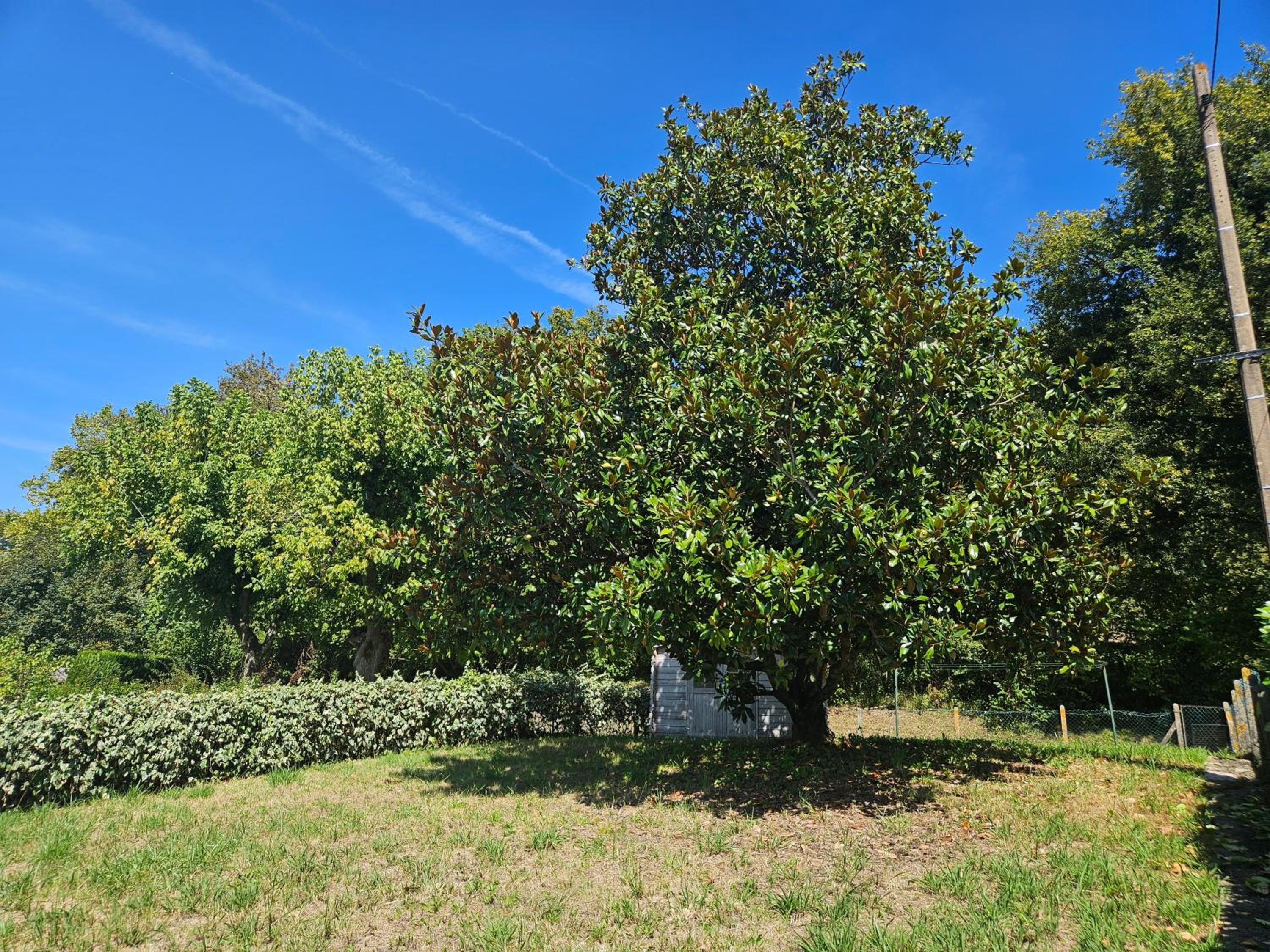 Maison confortable avec 3 chambres et jardin clos, idéale familles et curistes à Salies-de-Béarn