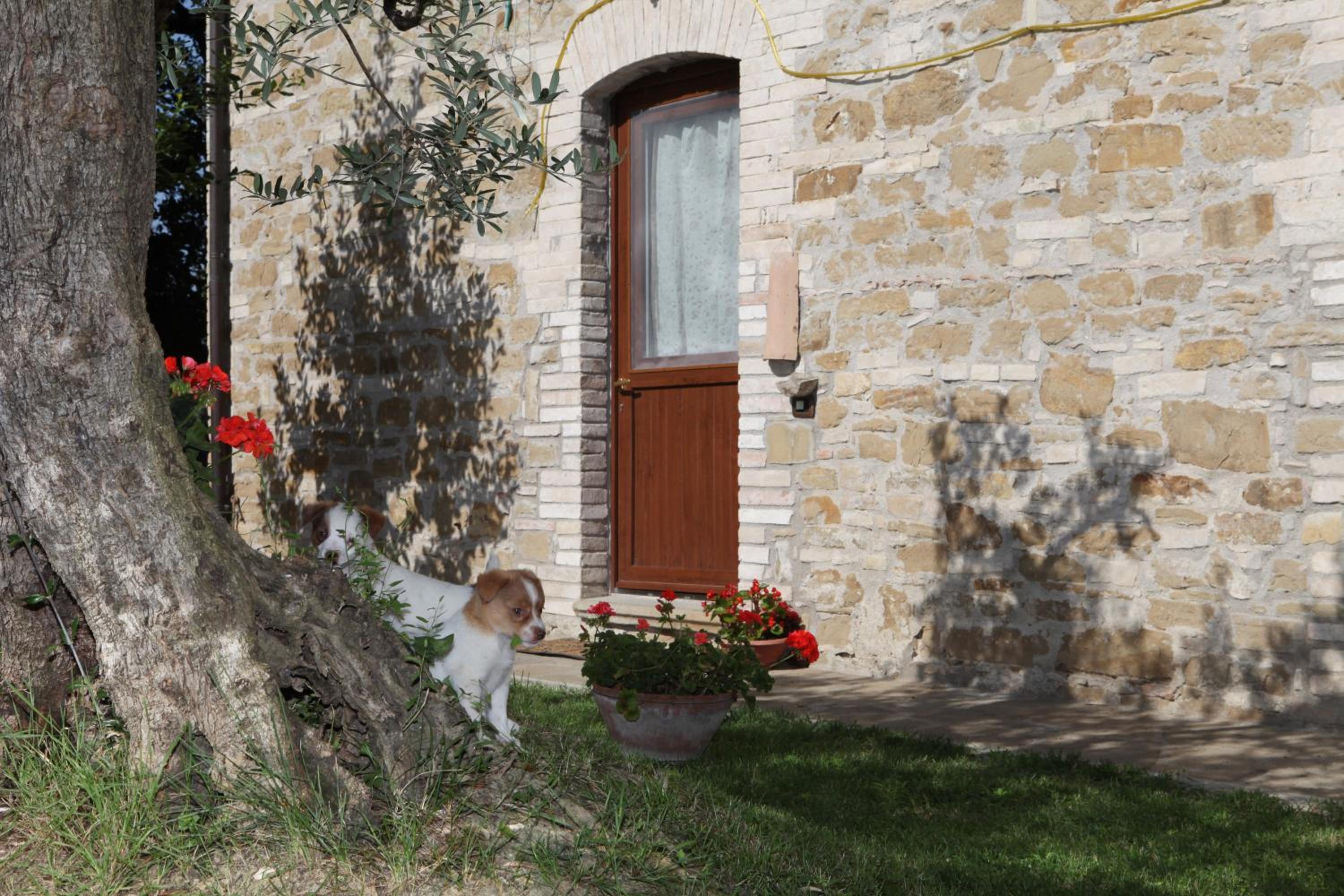 Photo 42
