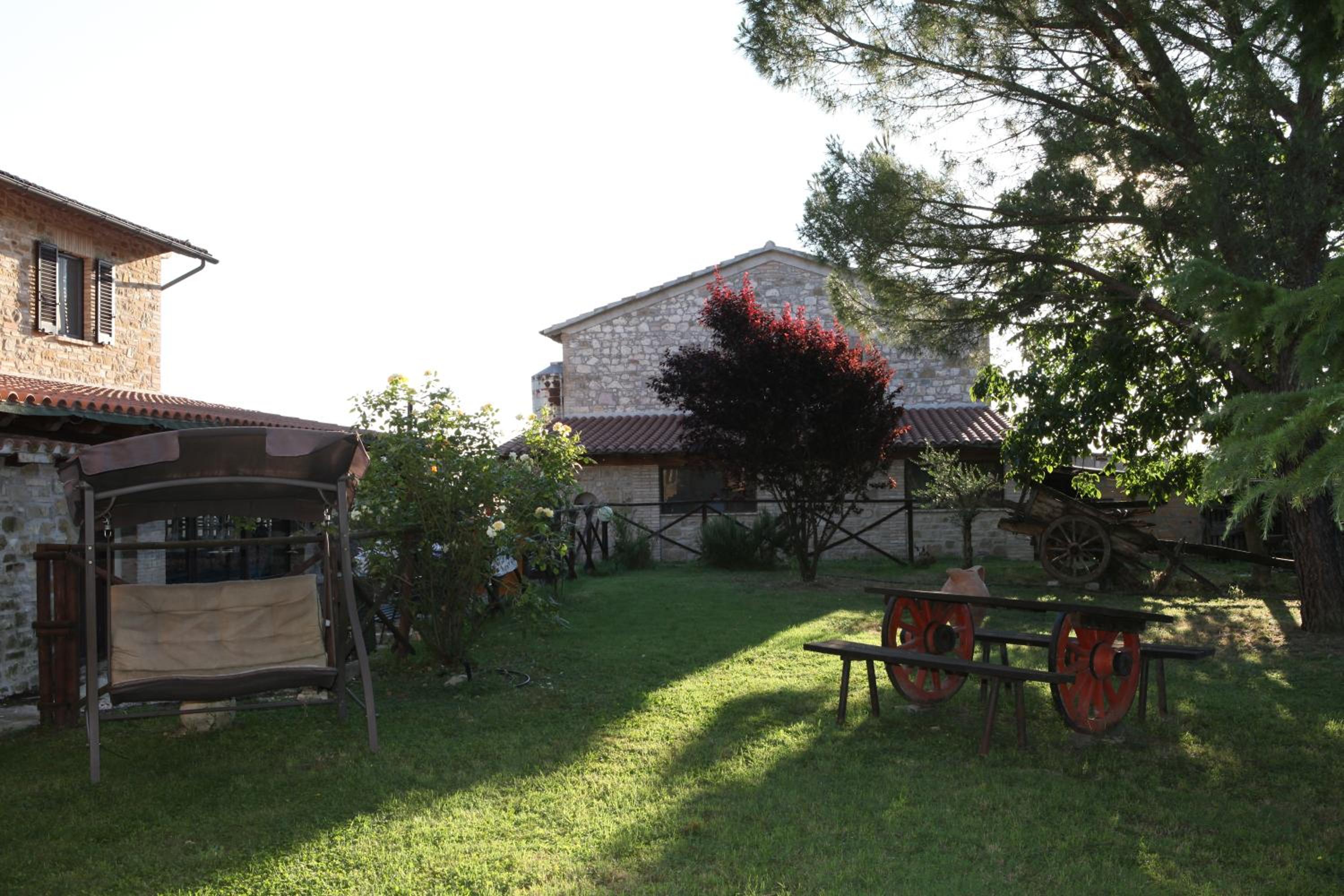 Photo 8