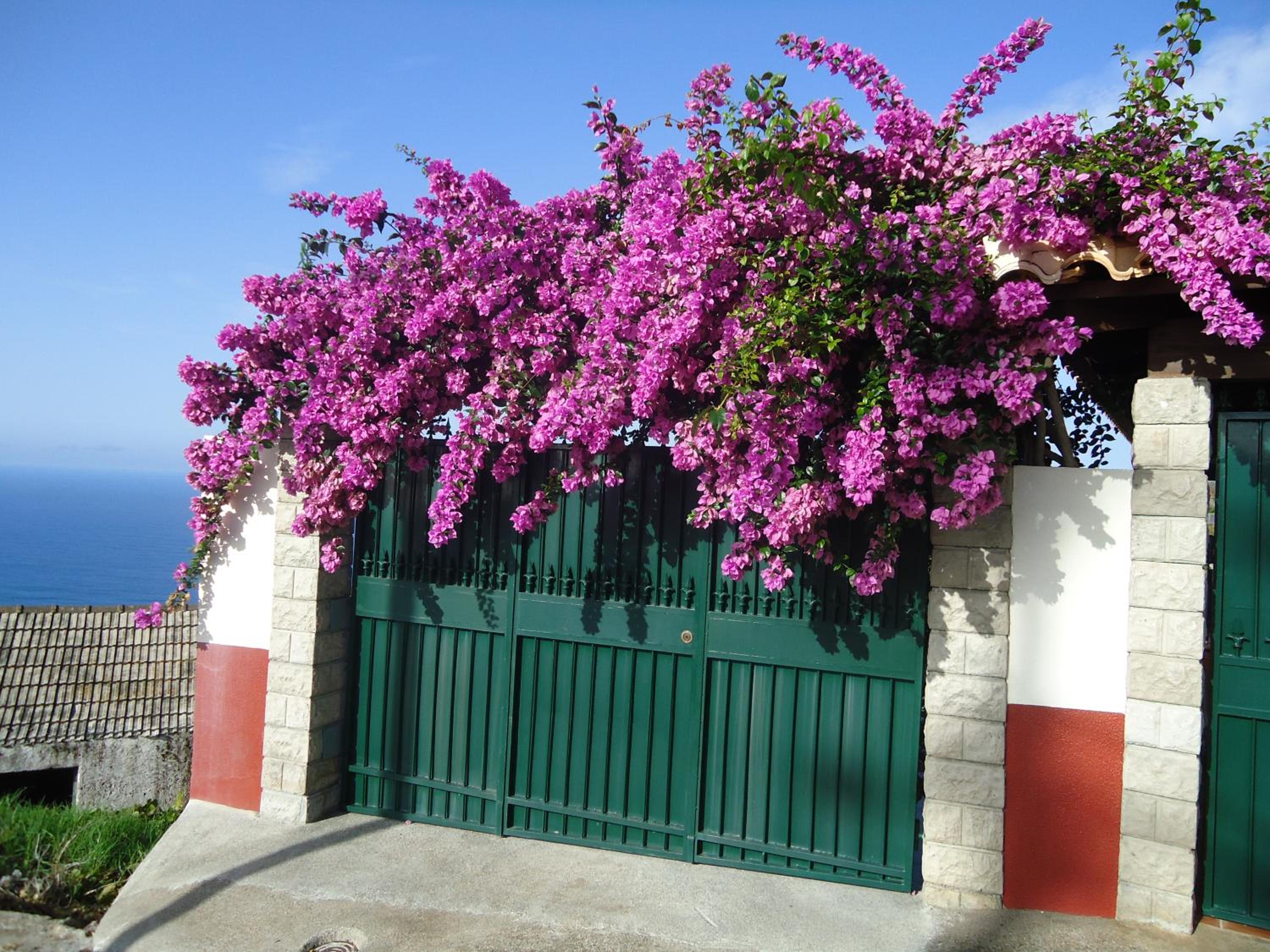Casa da Rainha view 2