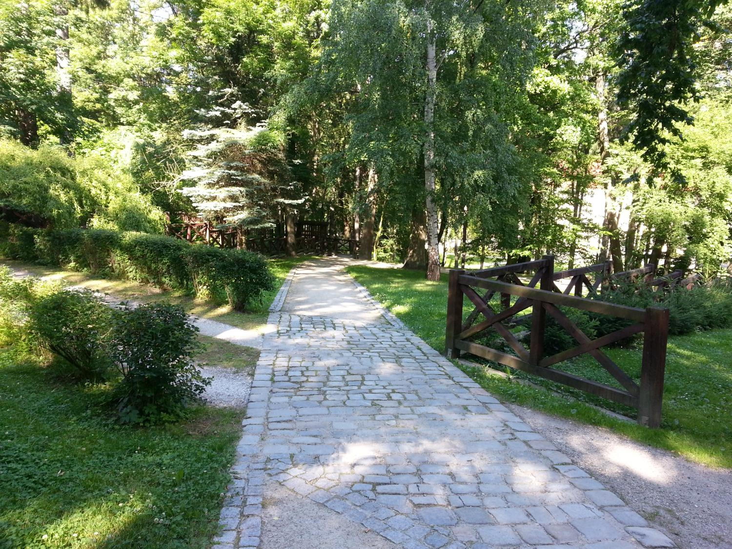 Photo 31