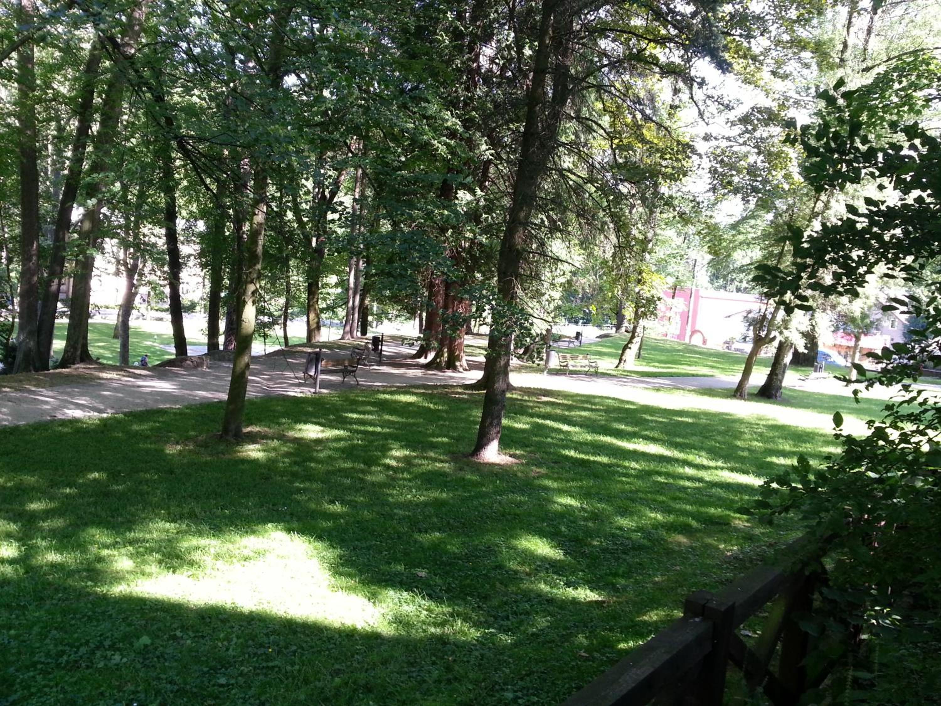 Photo 19