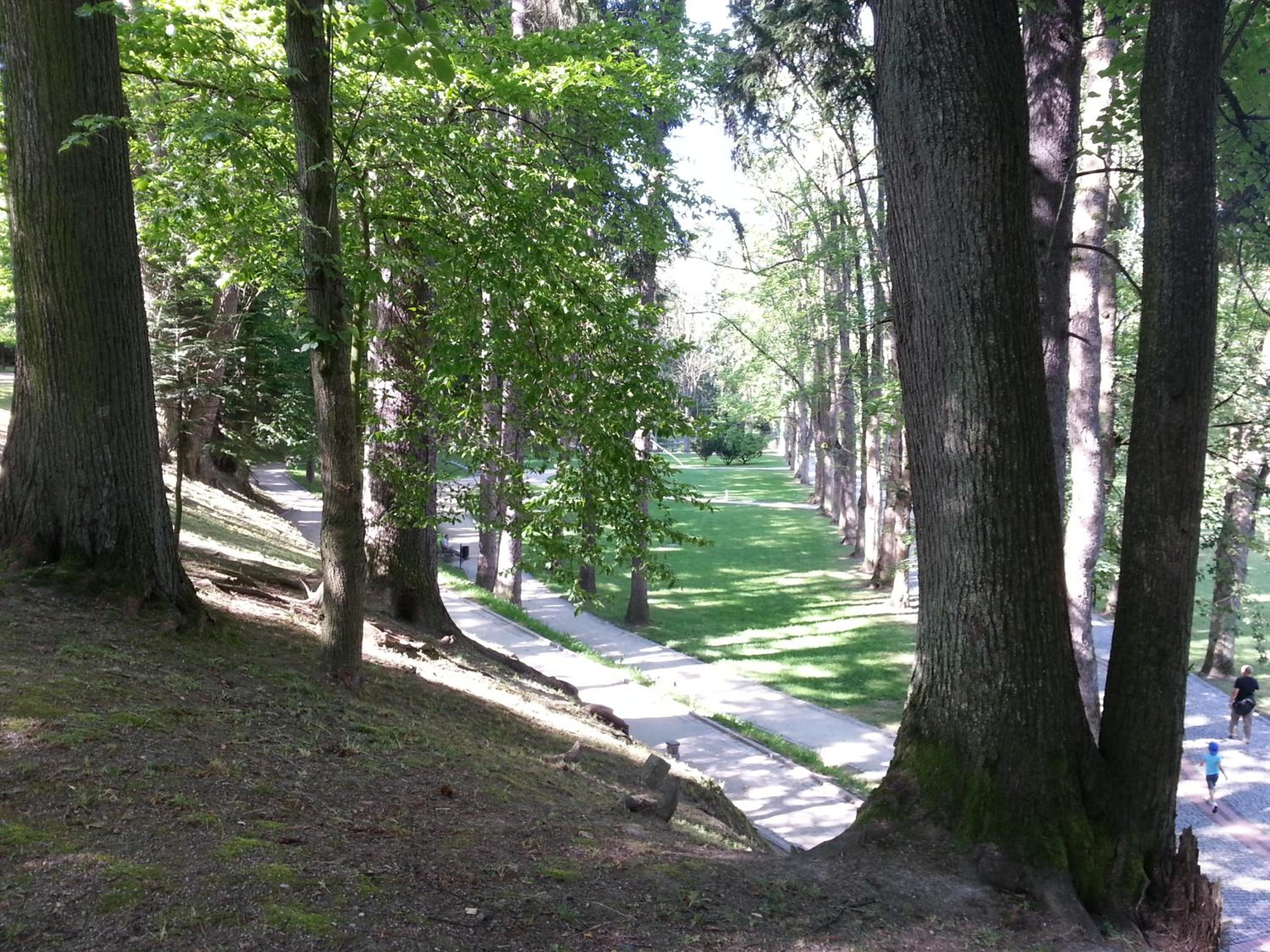 Photo 22