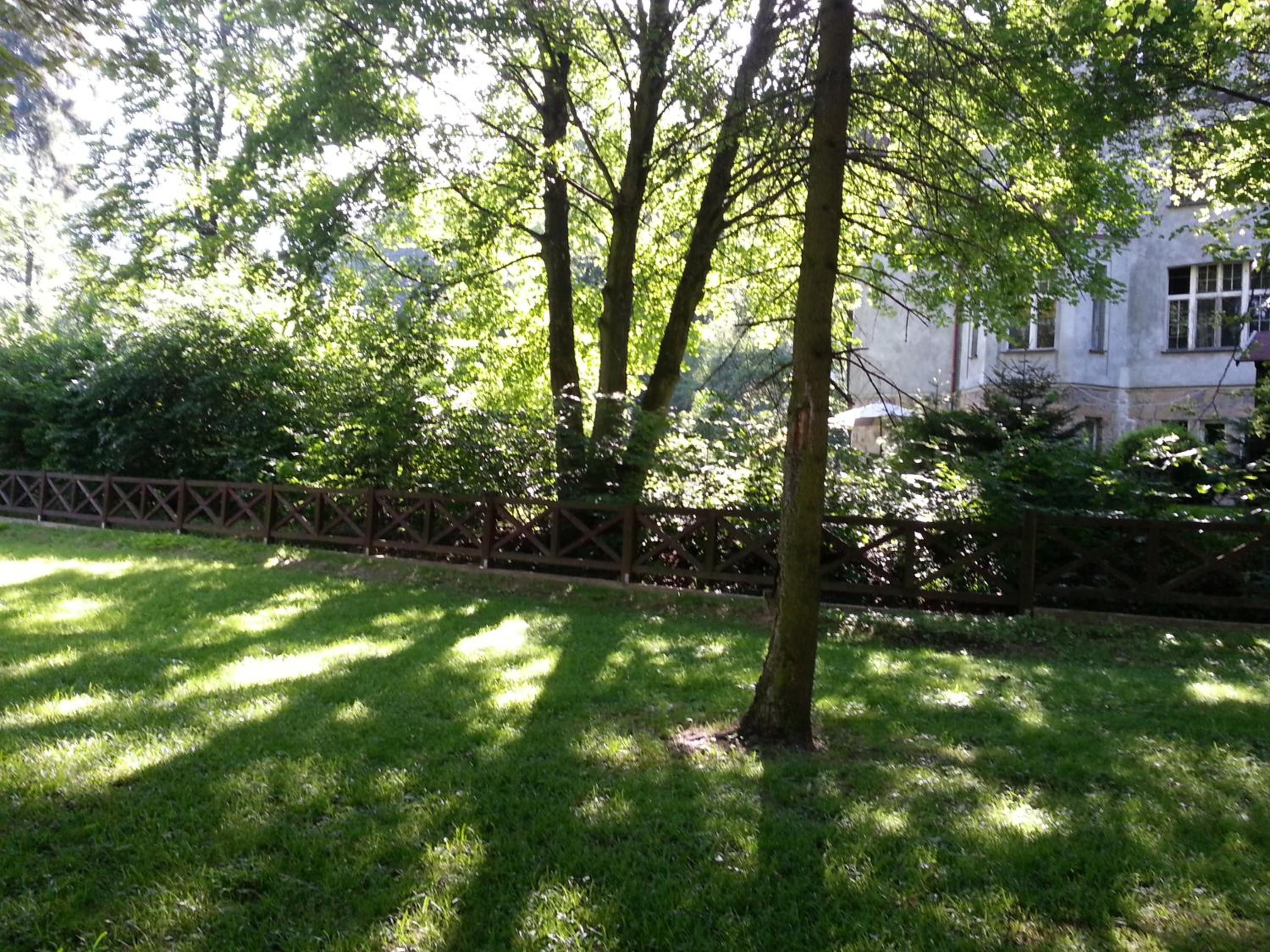 Photo 25