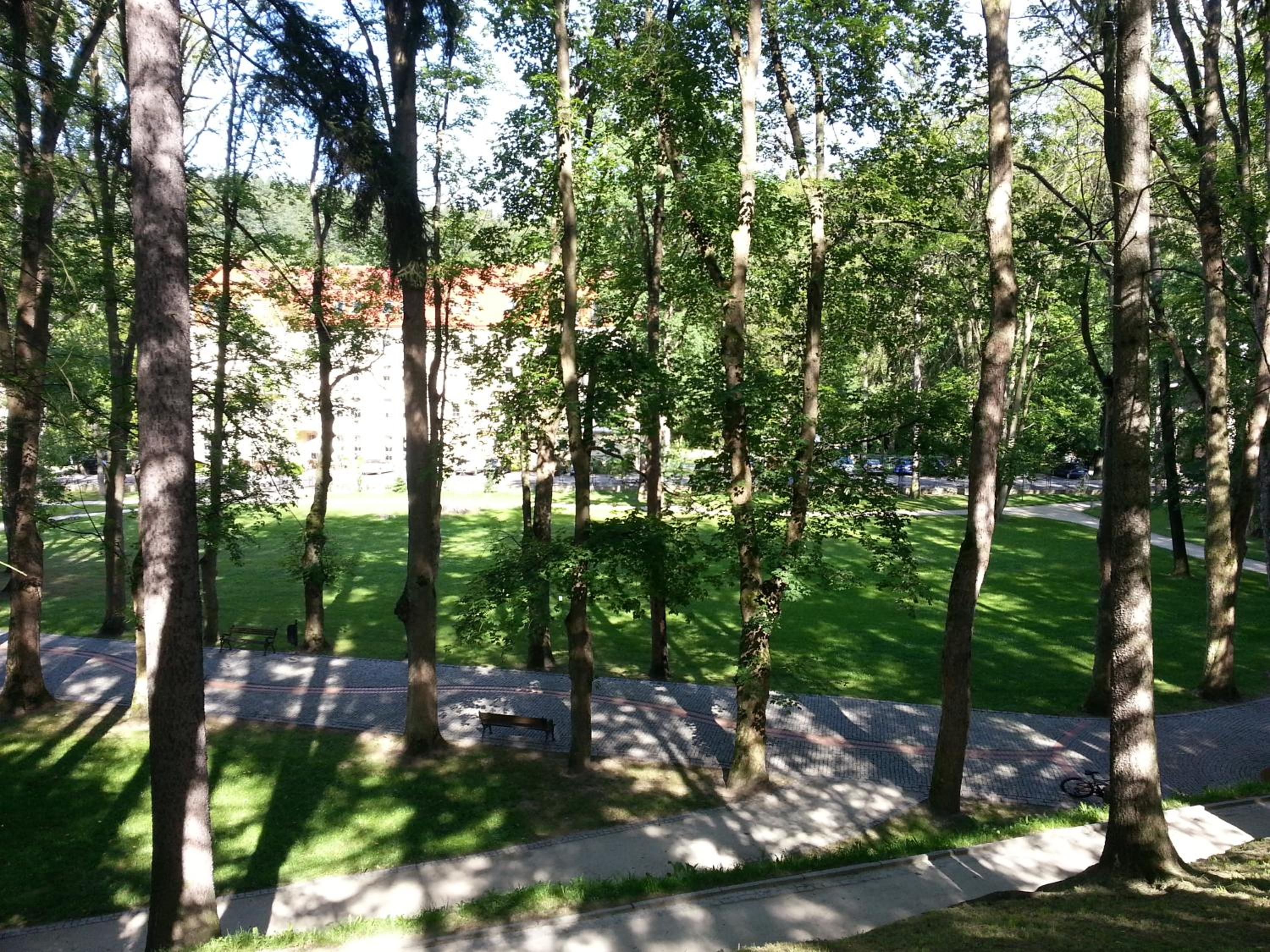 Photo 26