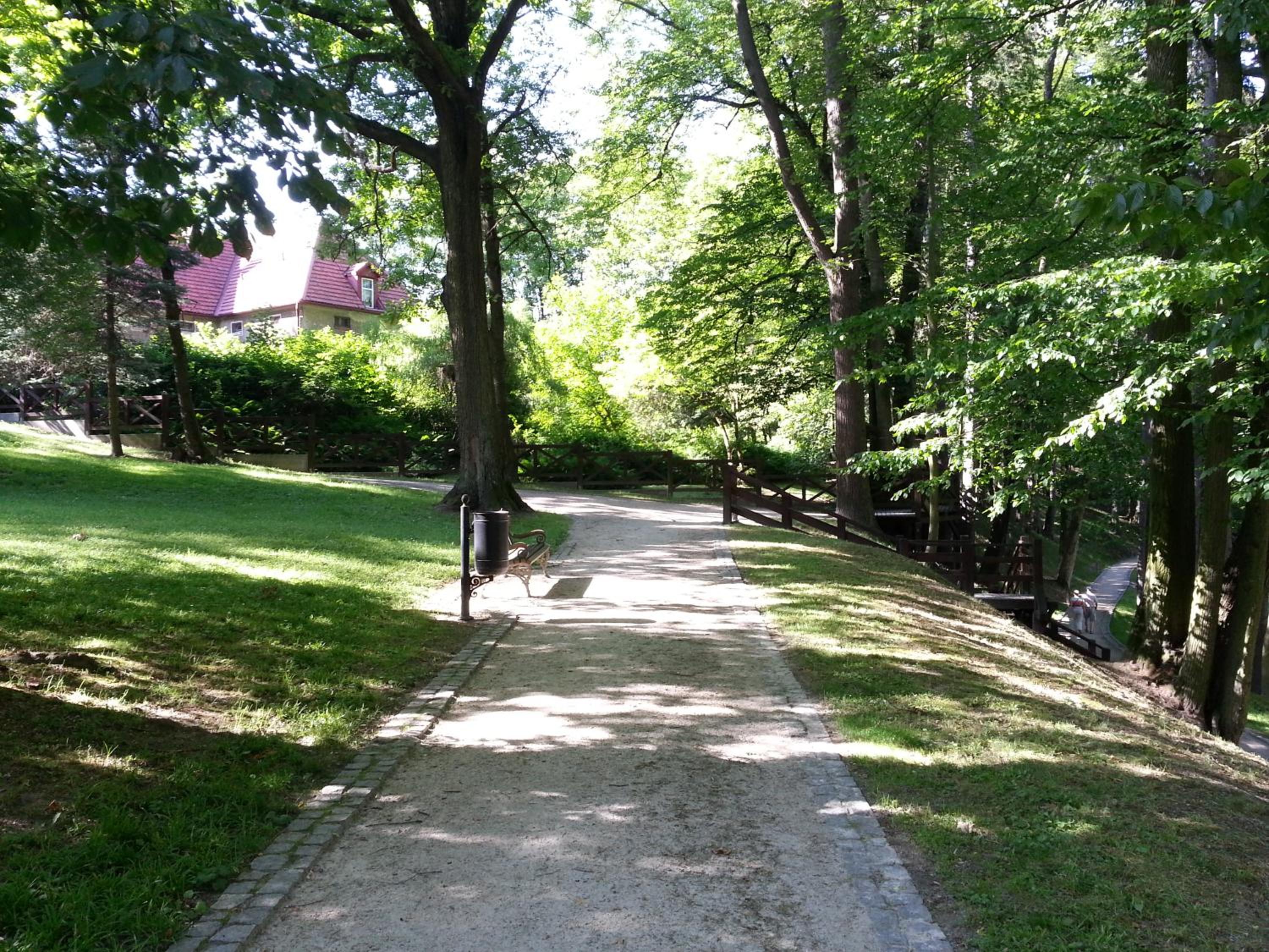 Photo 24
