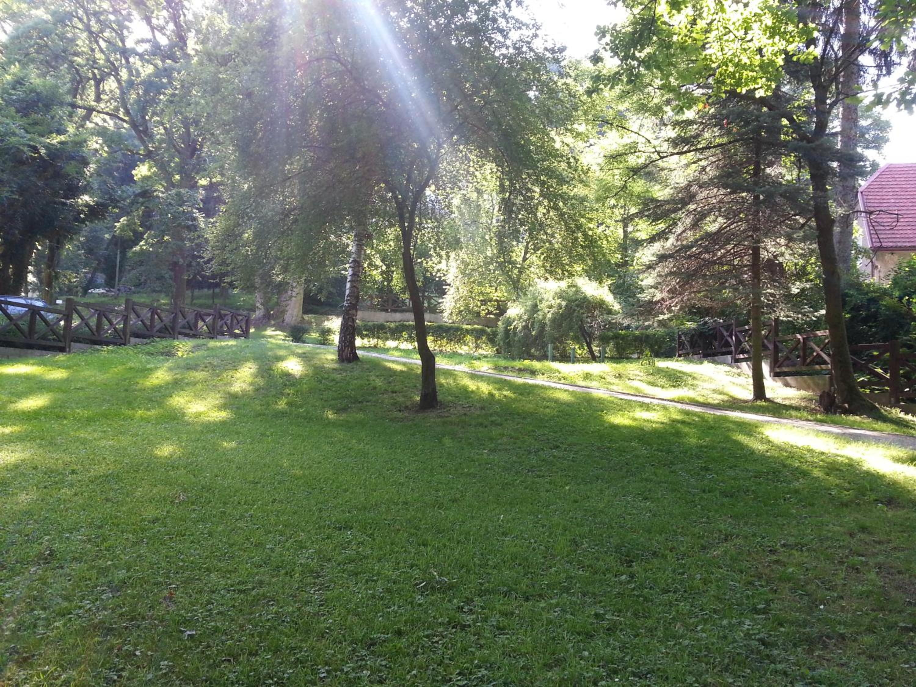 Photo 29