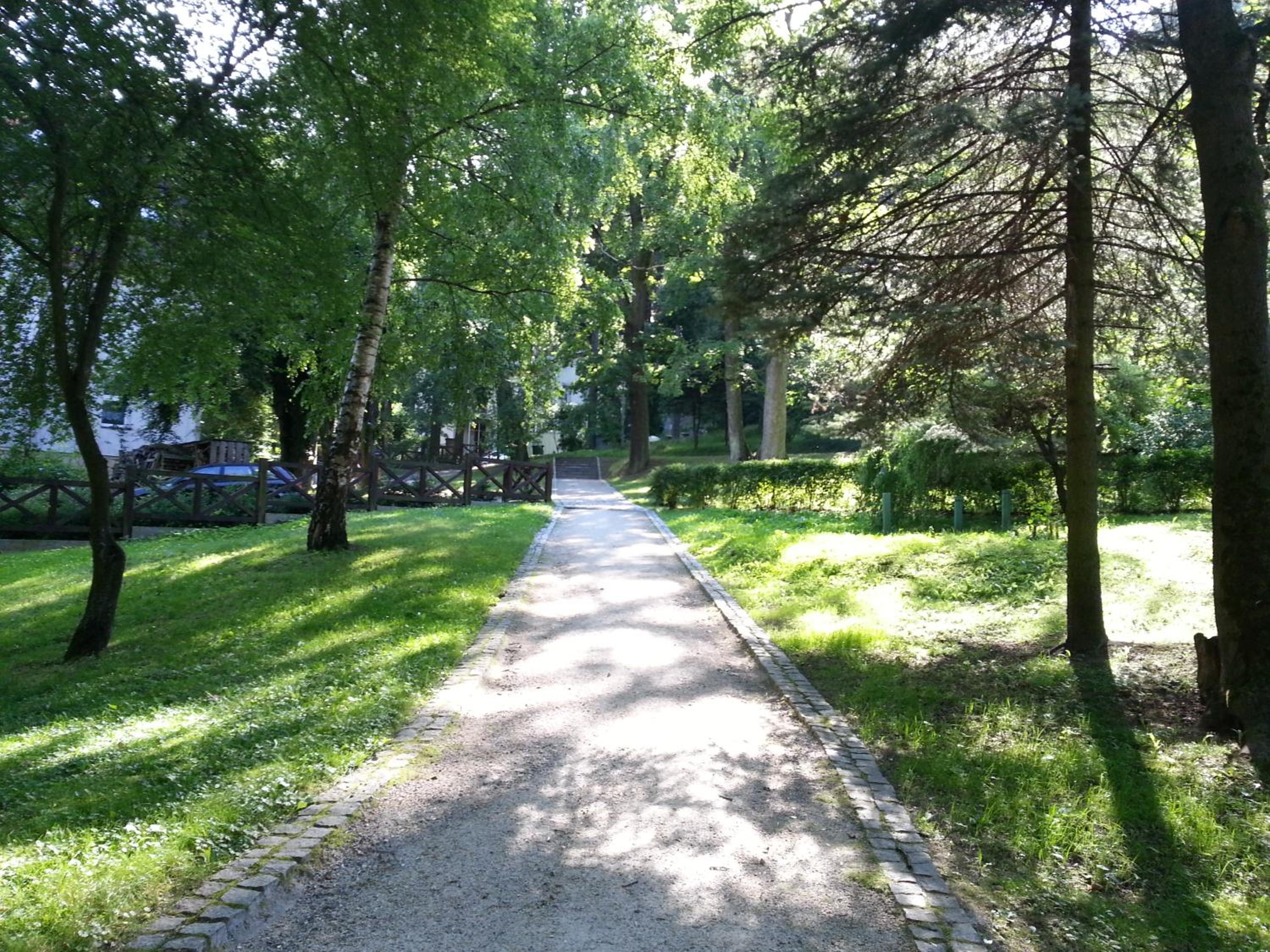 Photo 17