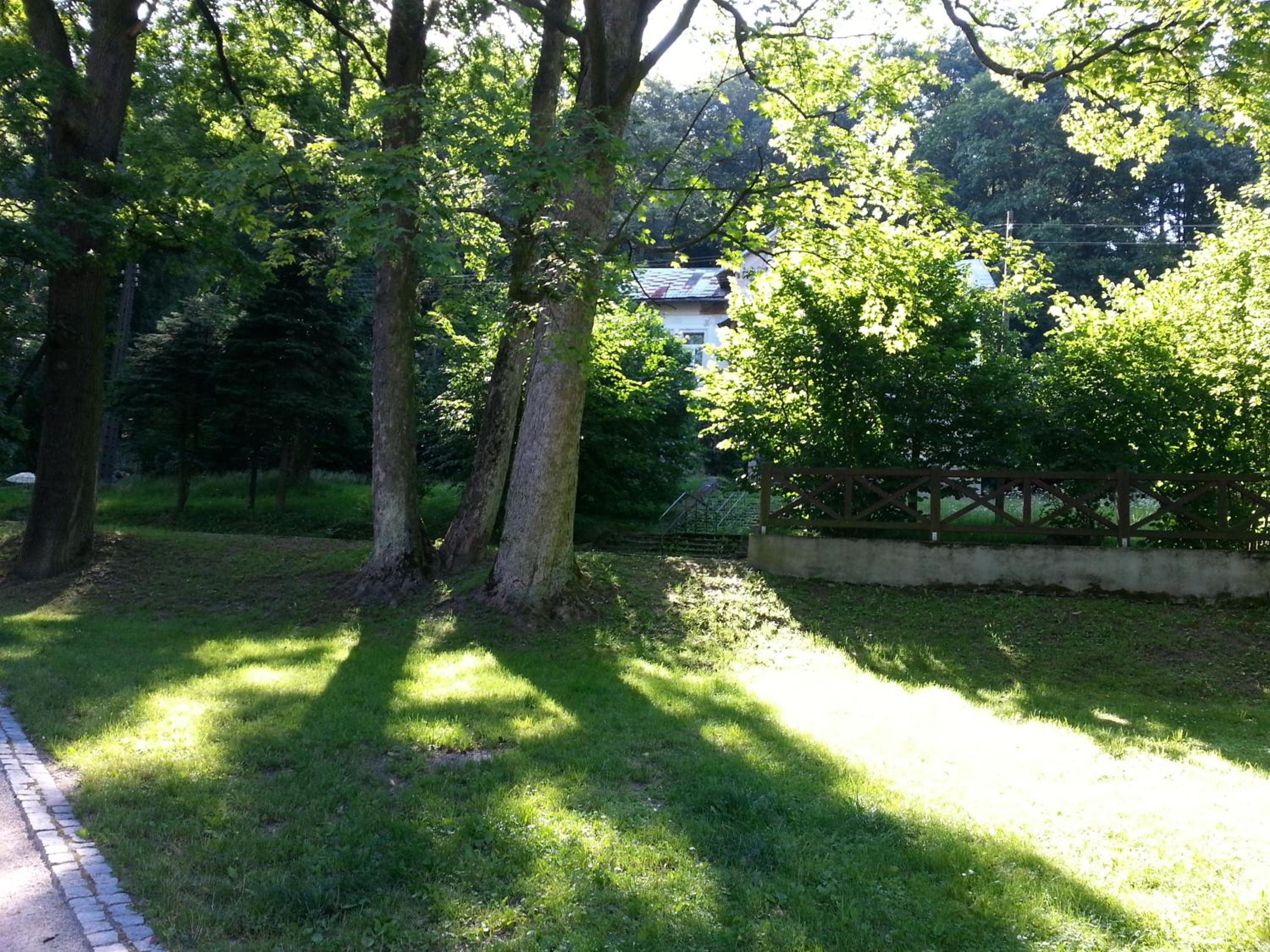 Photo 27