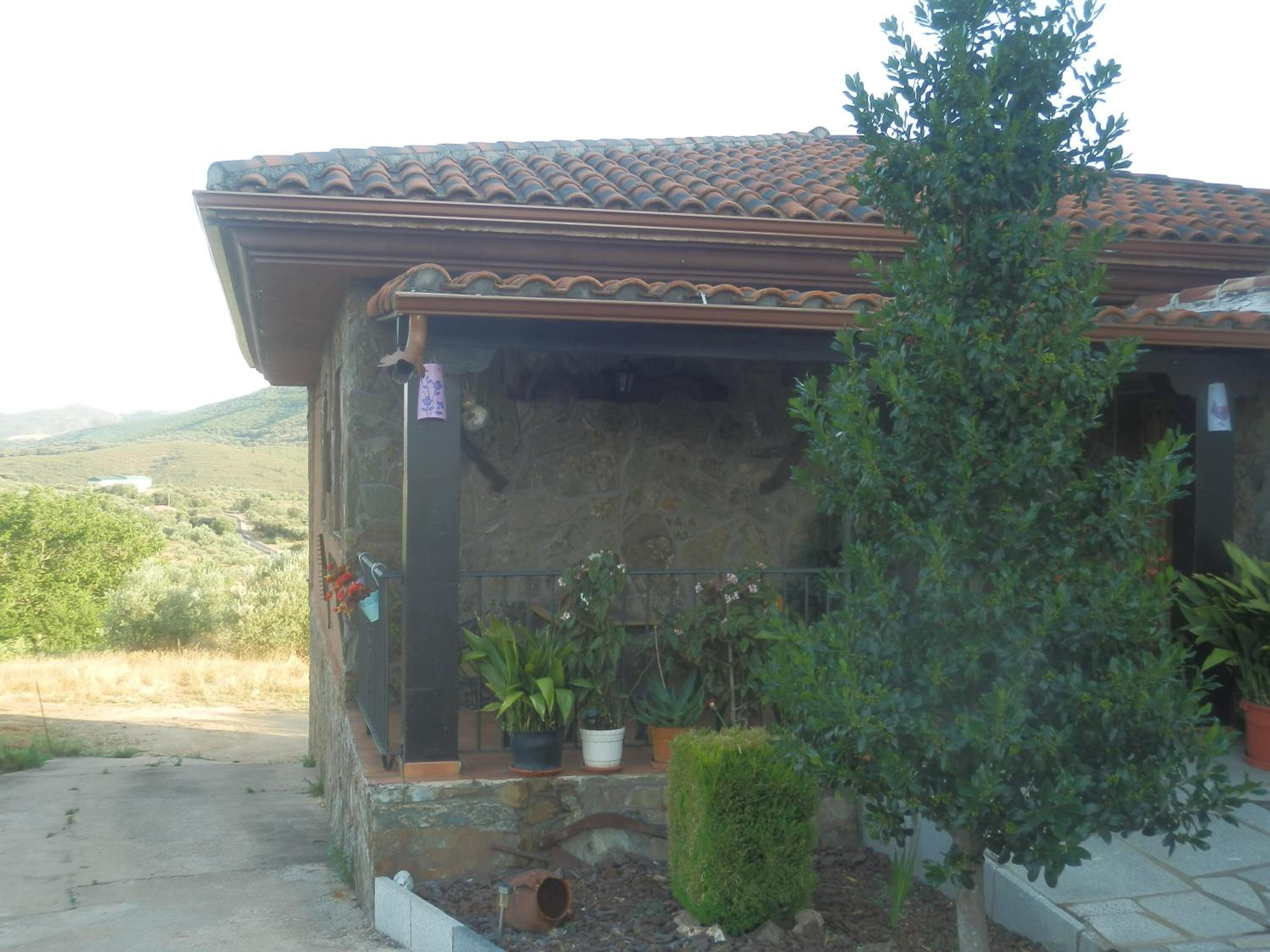 Photo 26