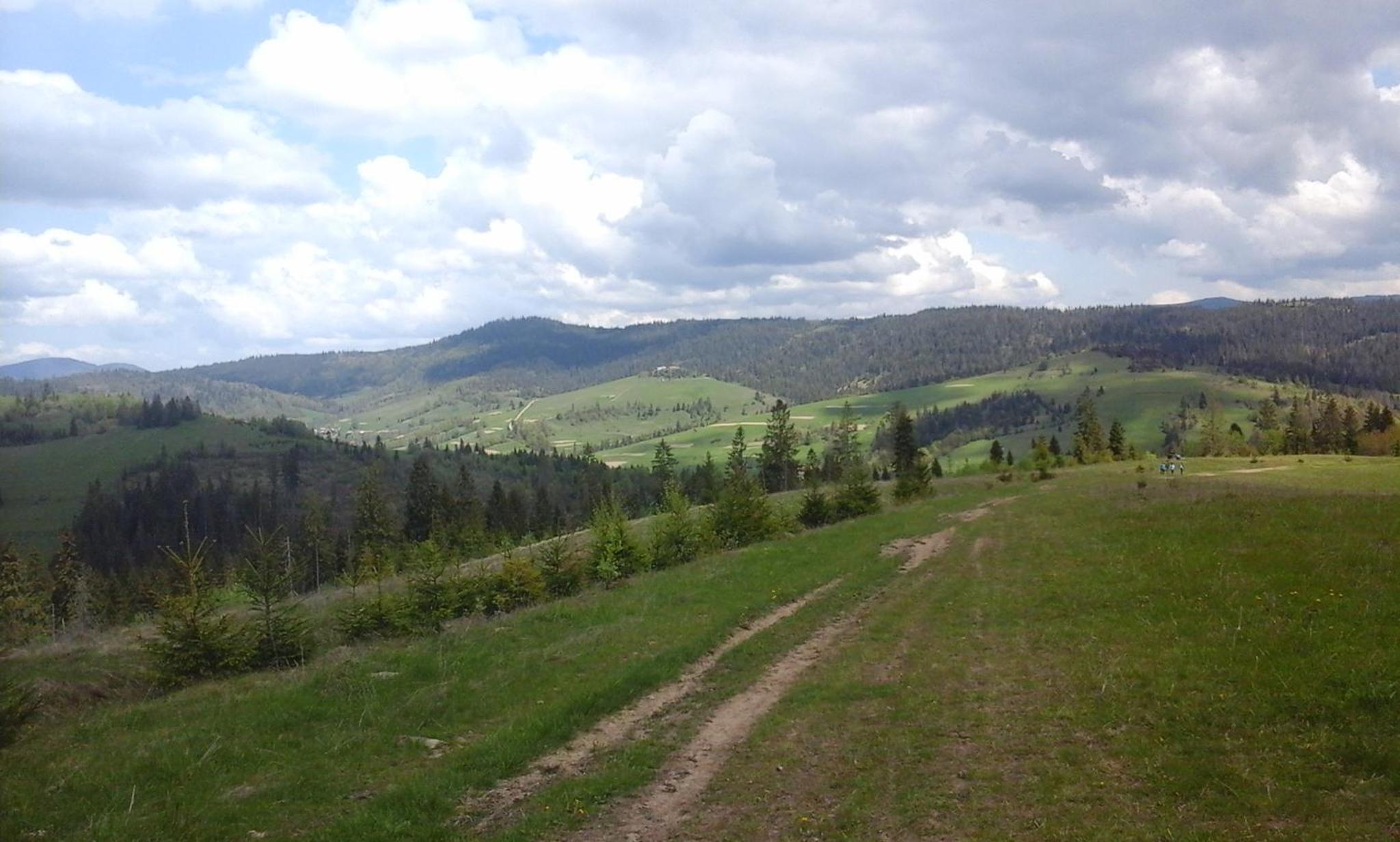 Photo 48