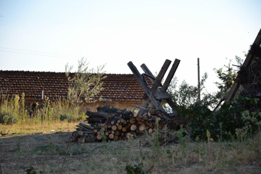 Photo 40