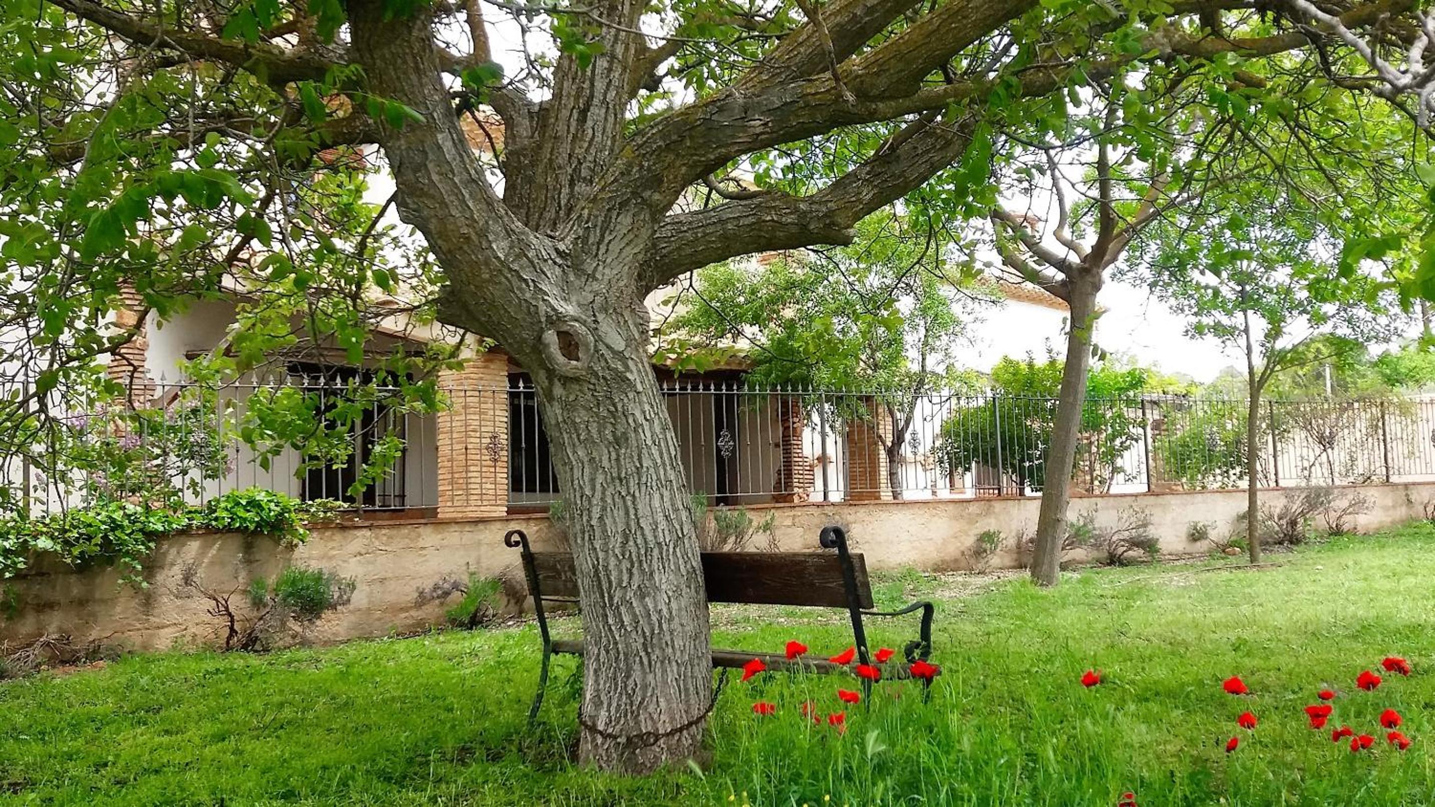 Casa del Rio view 4