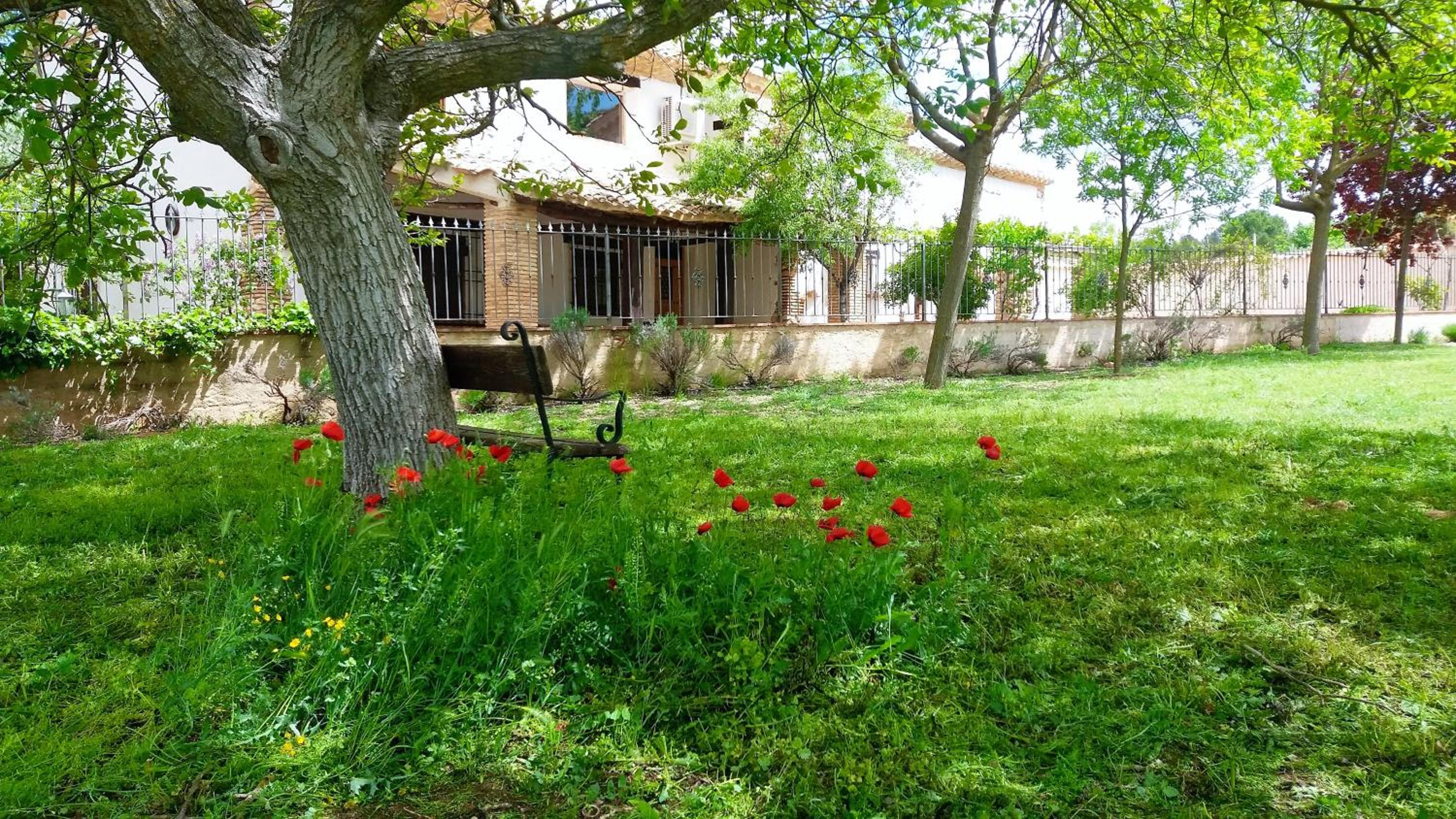 Photo 13