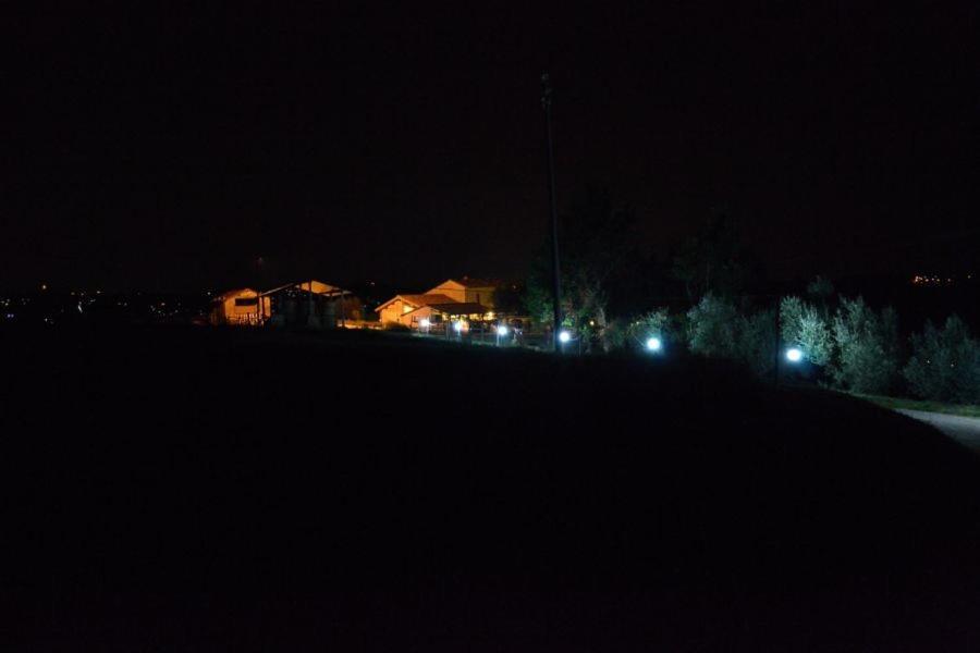 Photo 33