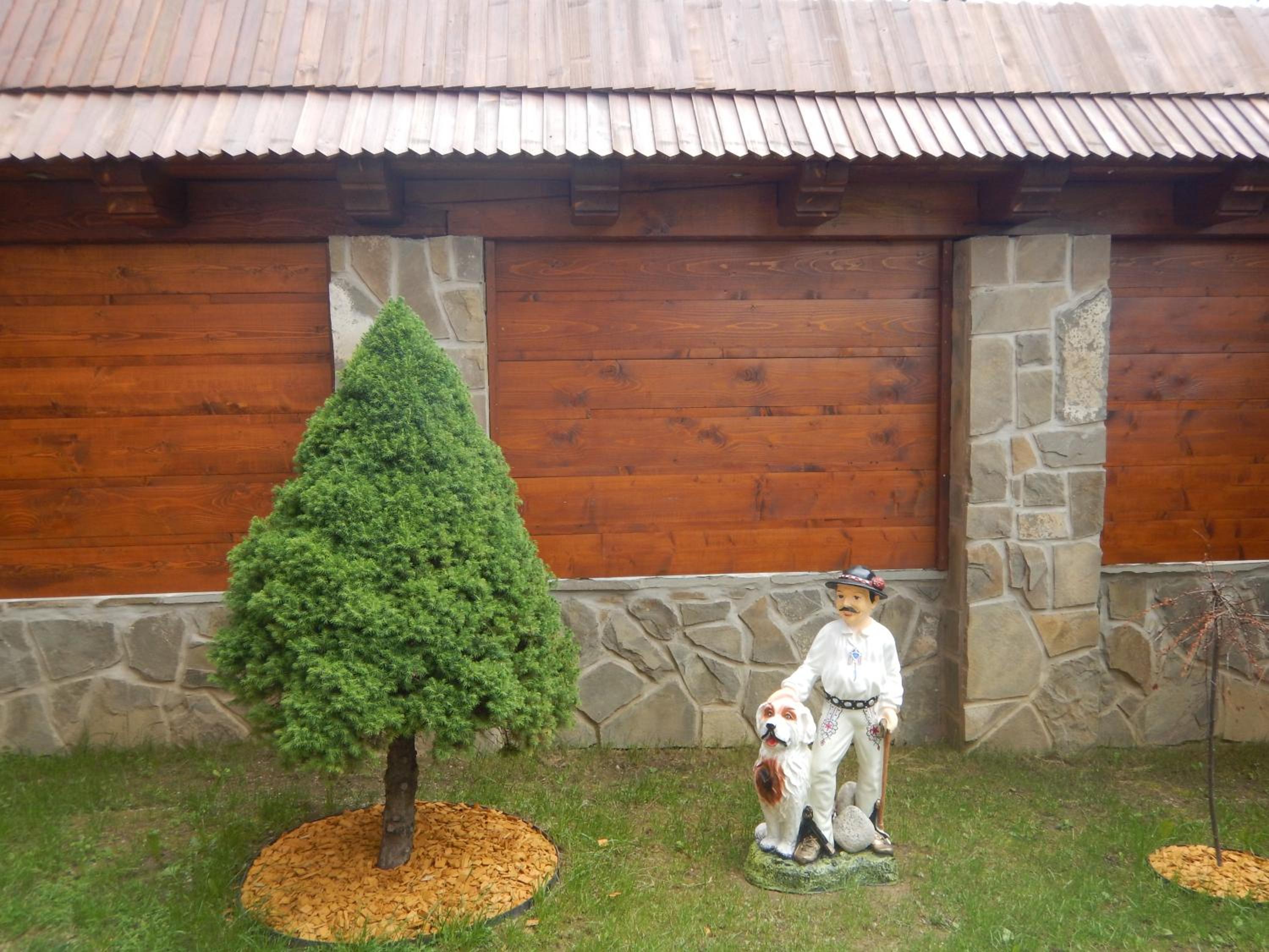 Photo 34