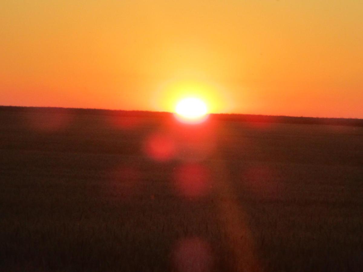 Photo 24