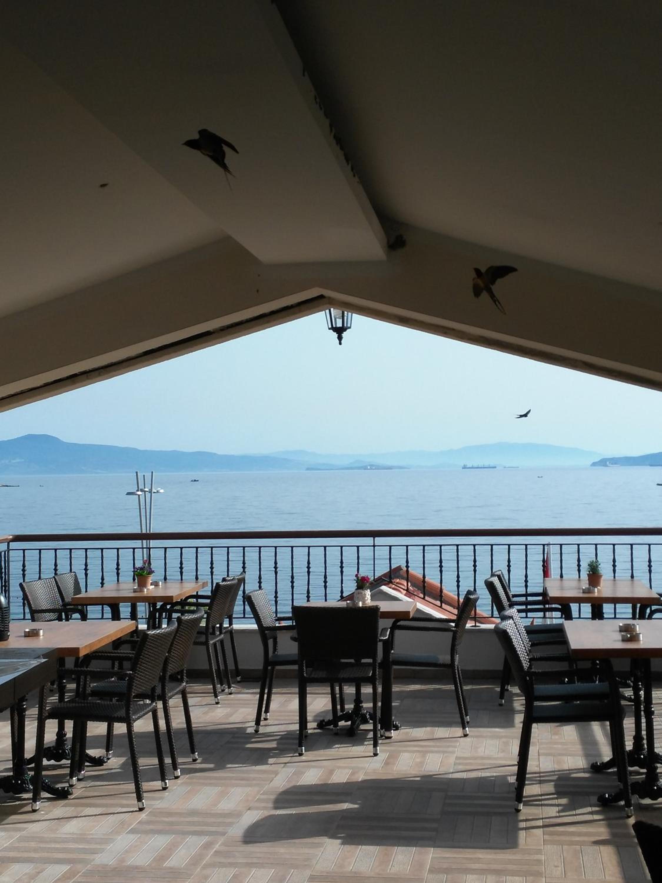 Focamor Otel