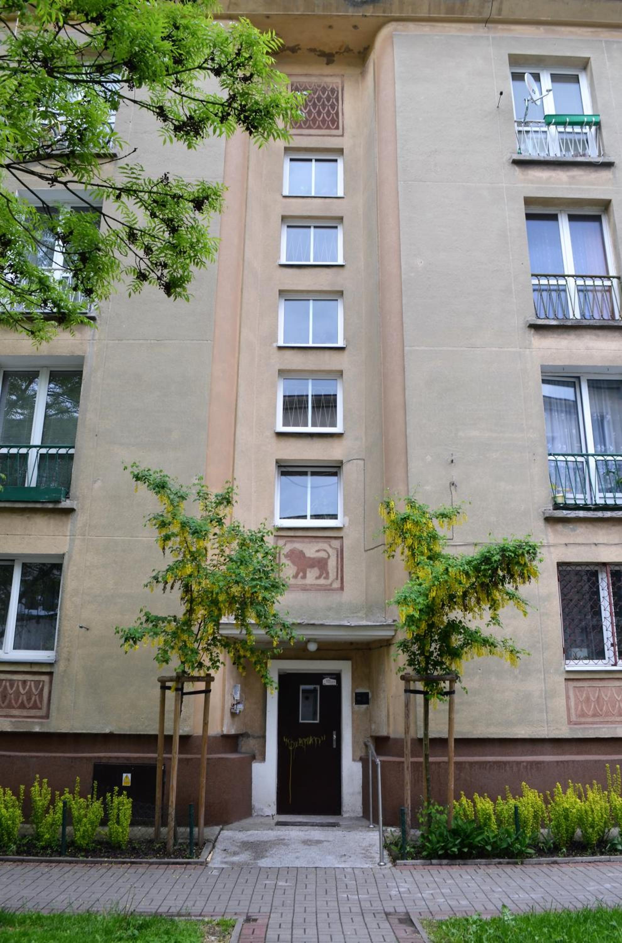 Photo 41