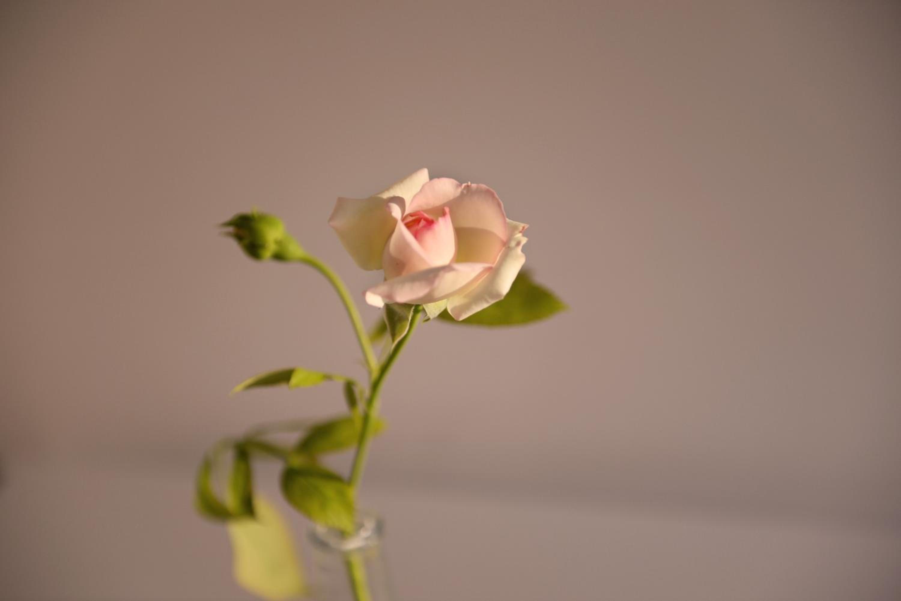 Photo 49