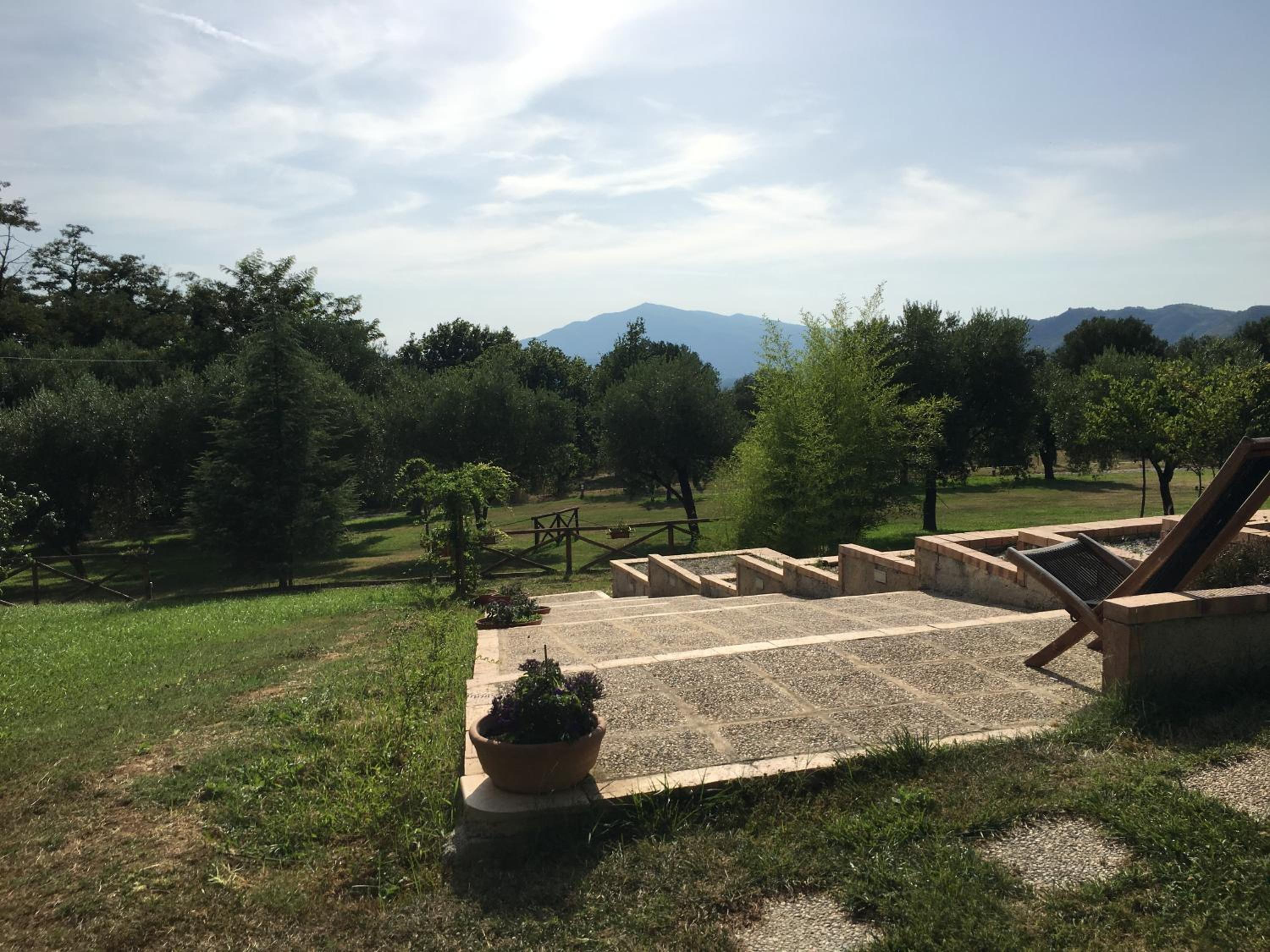 Corbezzolo