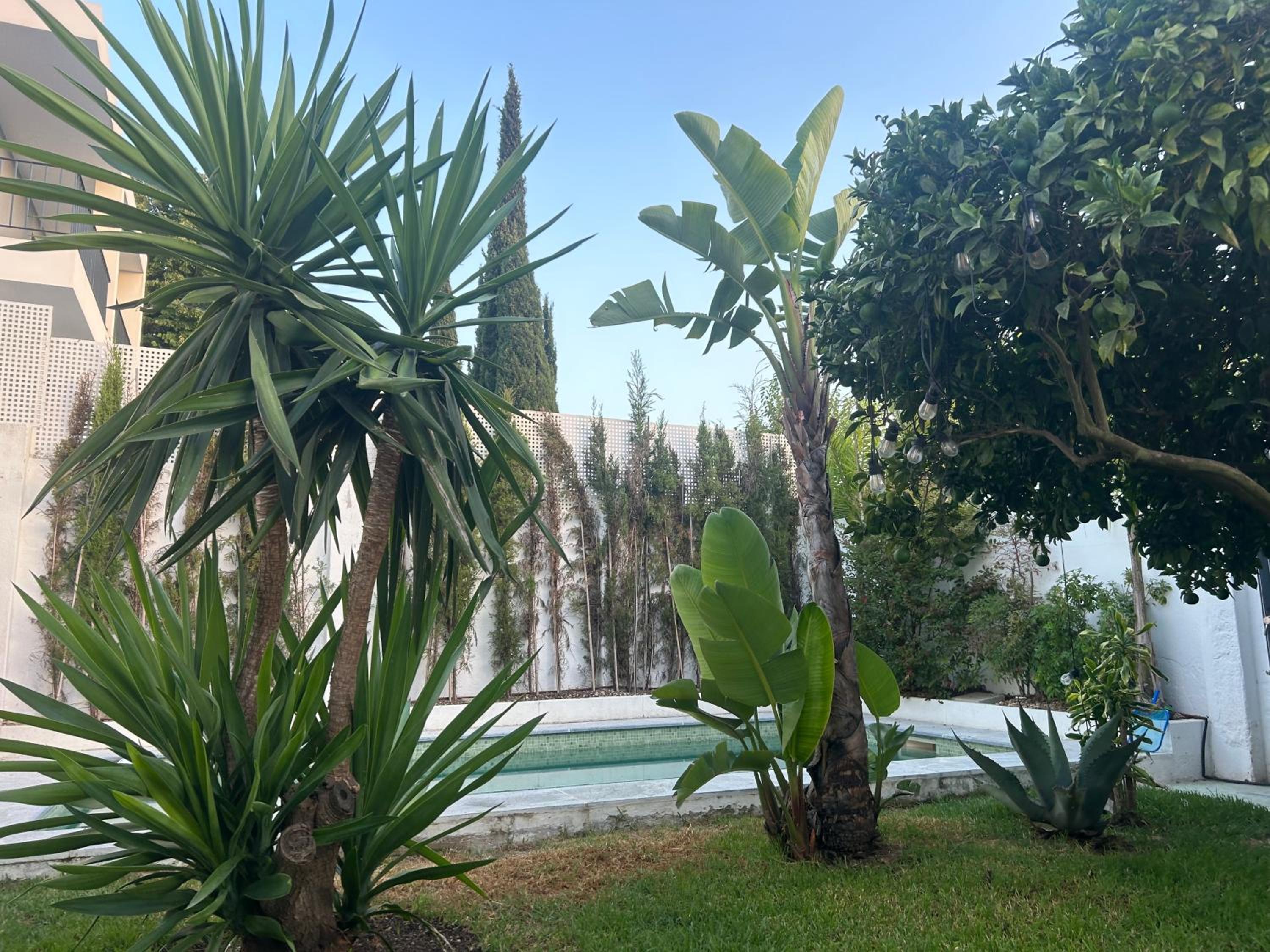 Vila Nogueira De Azeitao - Amaral's Guest Houses