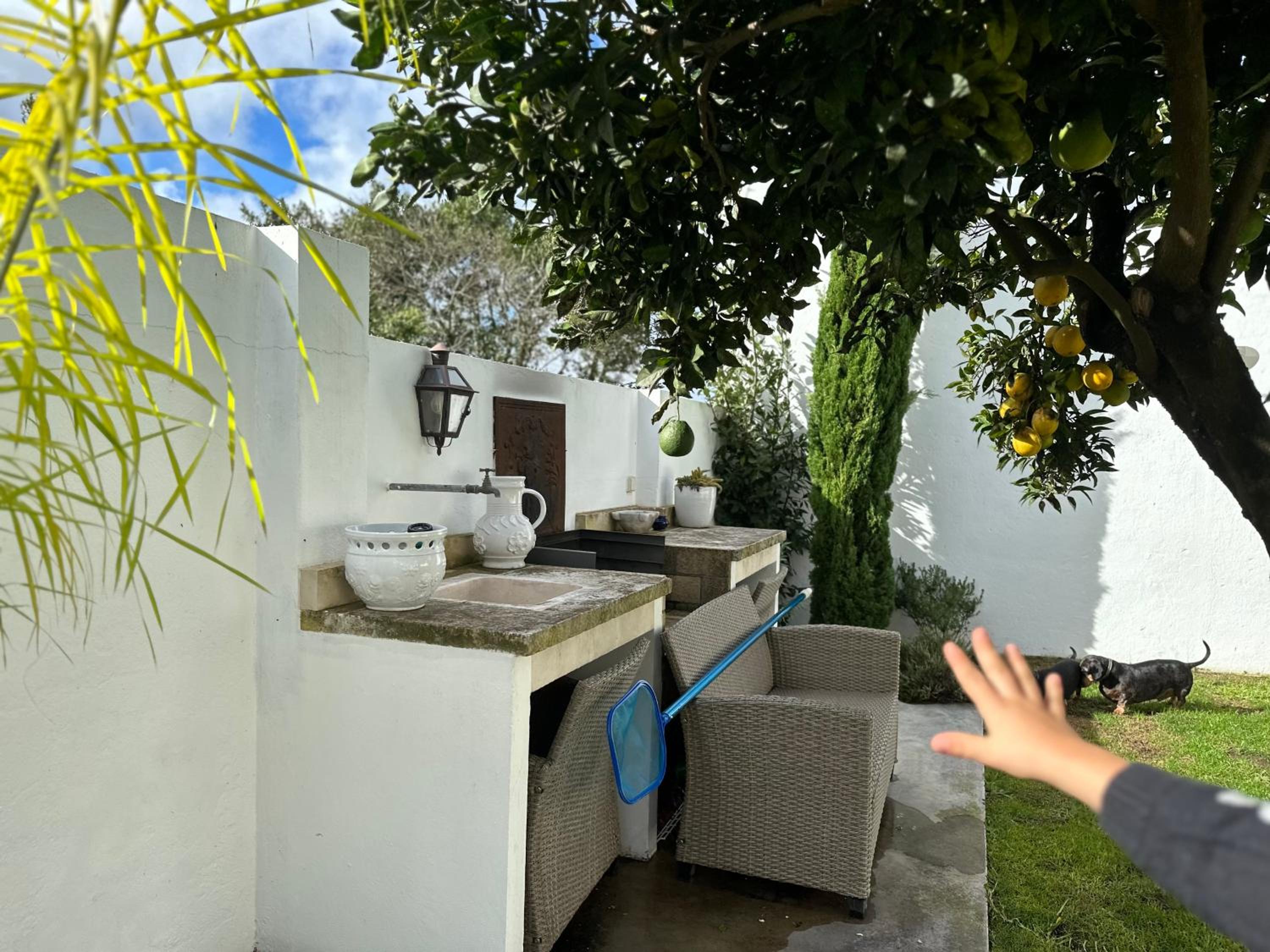 Vila Nogueira De Azeitao - Amaral's Guest Houses