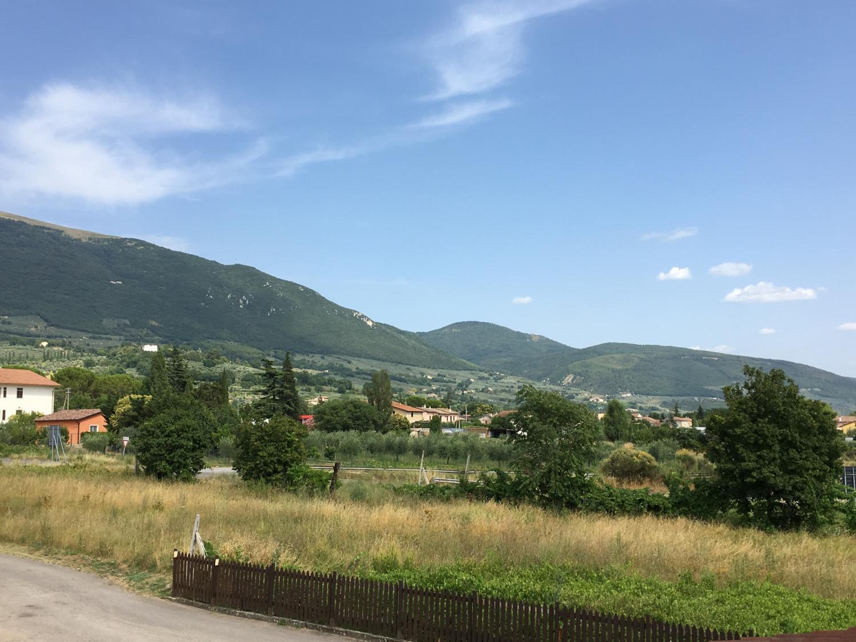Photo 46