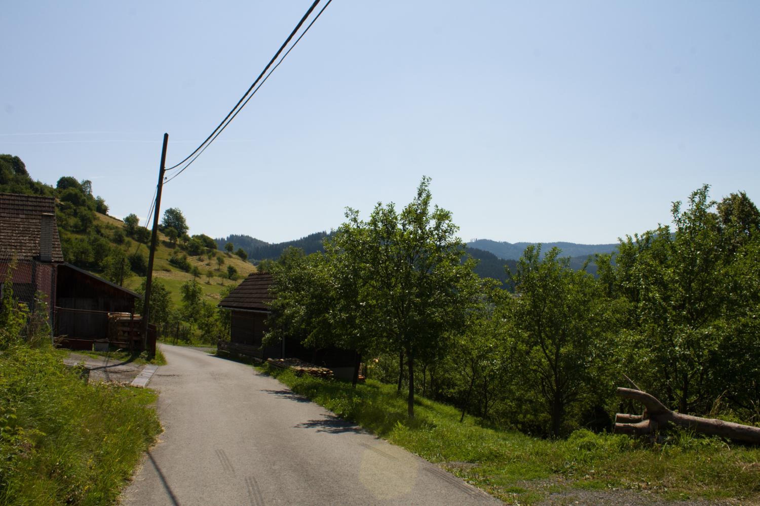 Photo 46