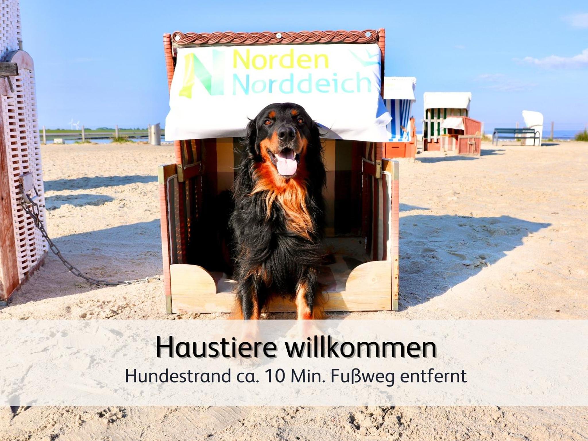 strandnahe Familien-Oase mit Hund