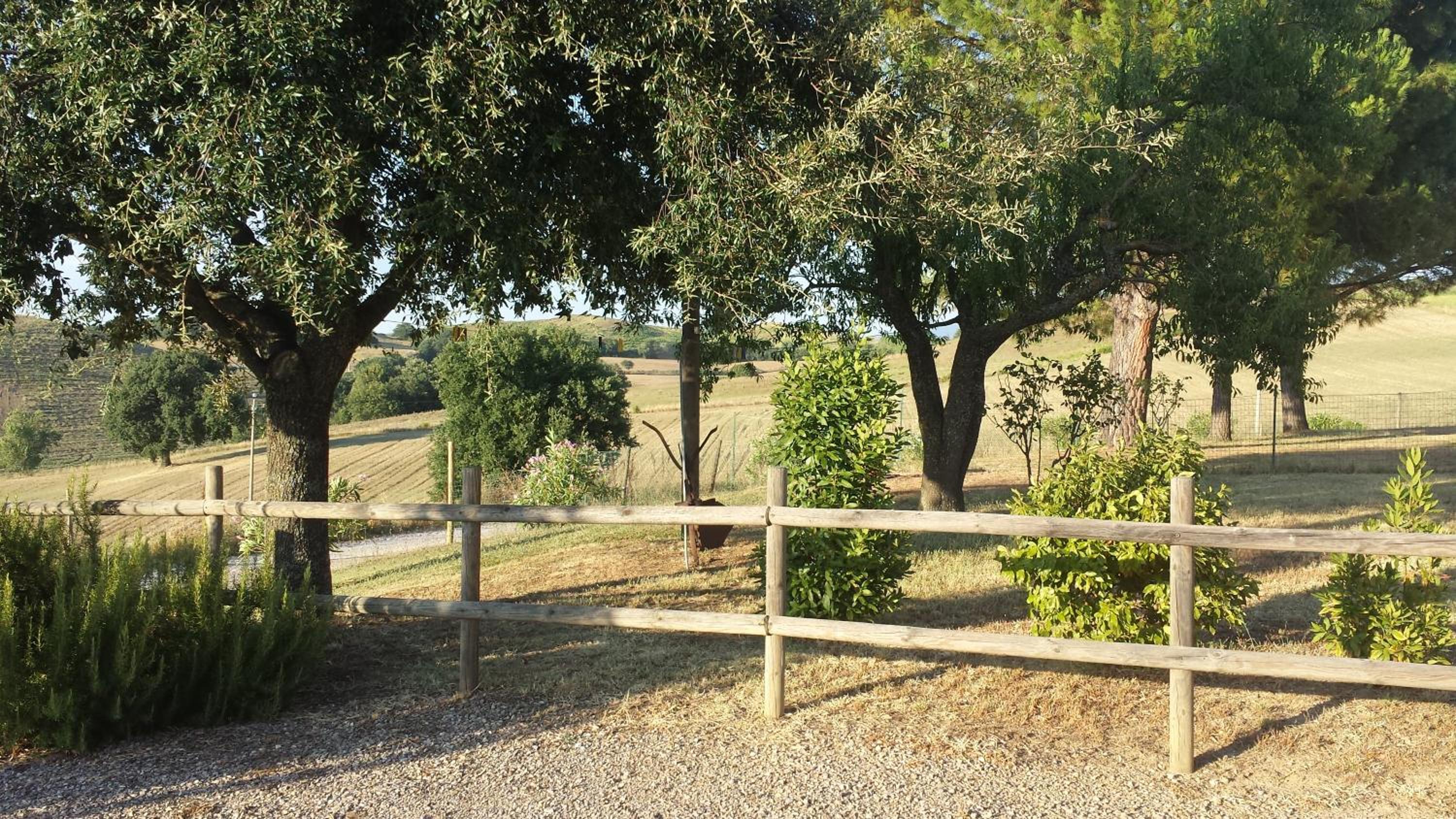 Photo 46