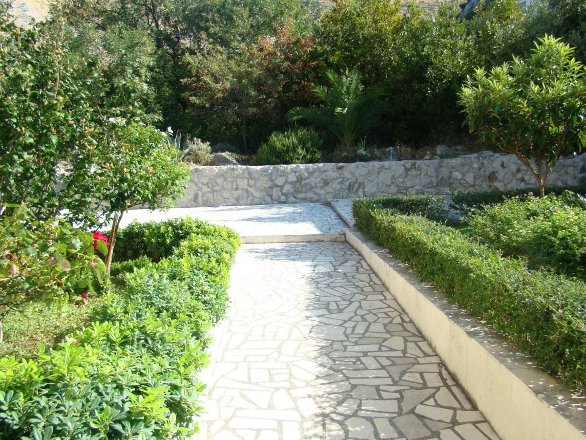 Photo 31