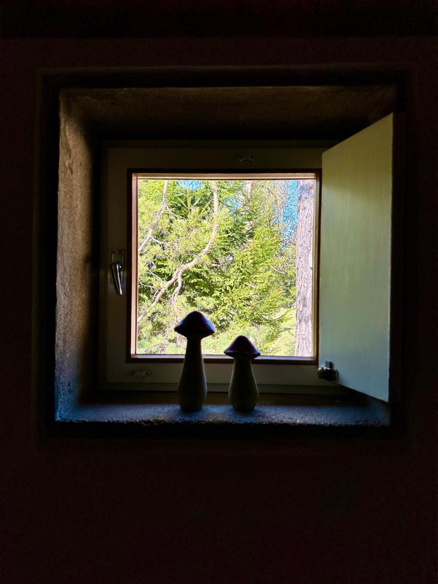 Ca'Mugo, a chalet in the magic woods, near Cortina