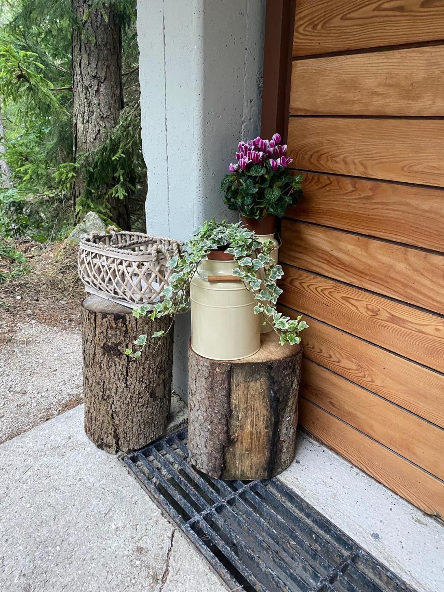 Ca'Mugo, a chalet in the magic woods, near Cortina