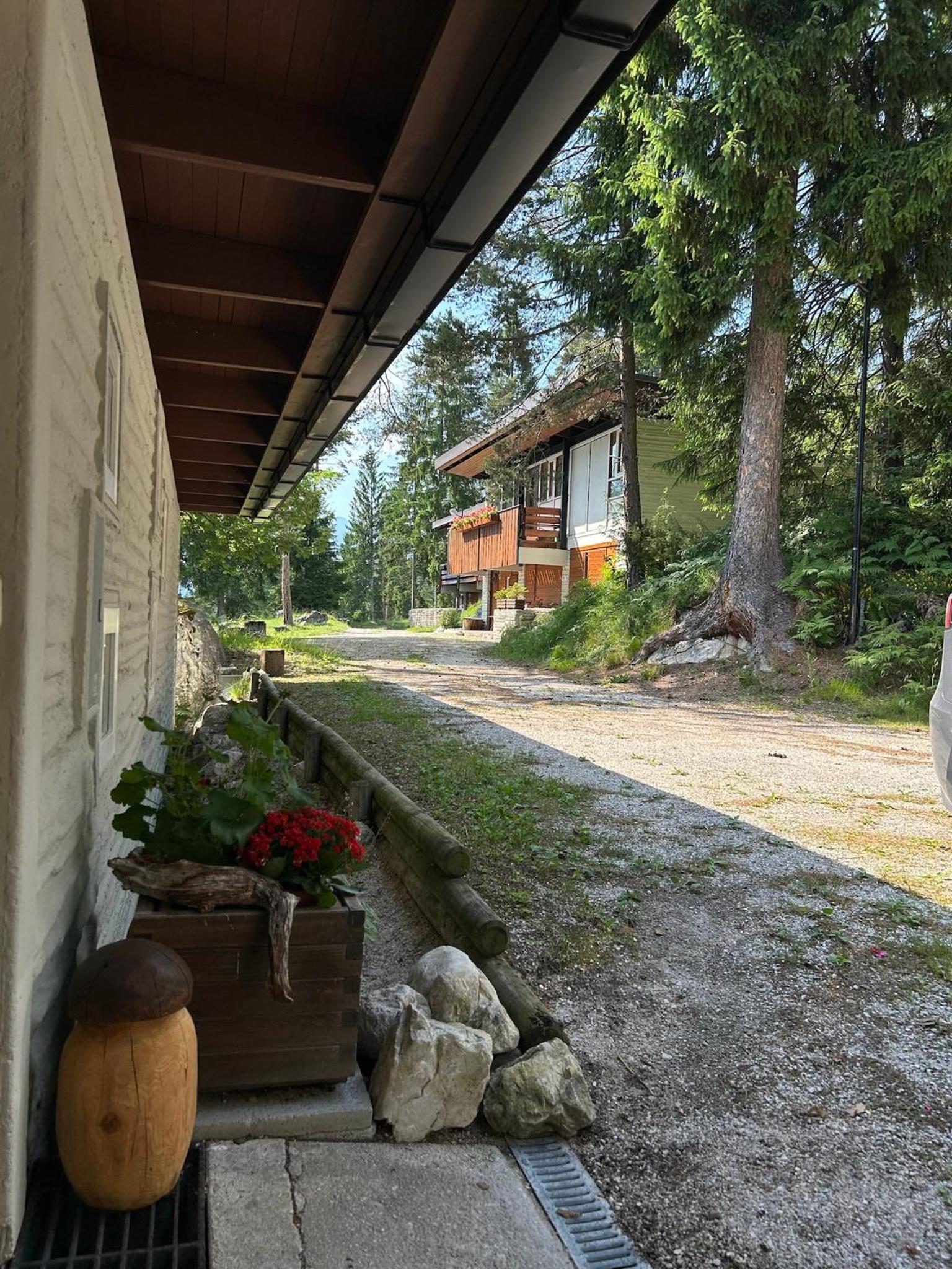 Ca'Mugo, a chalet in the magic woods, near Cortina