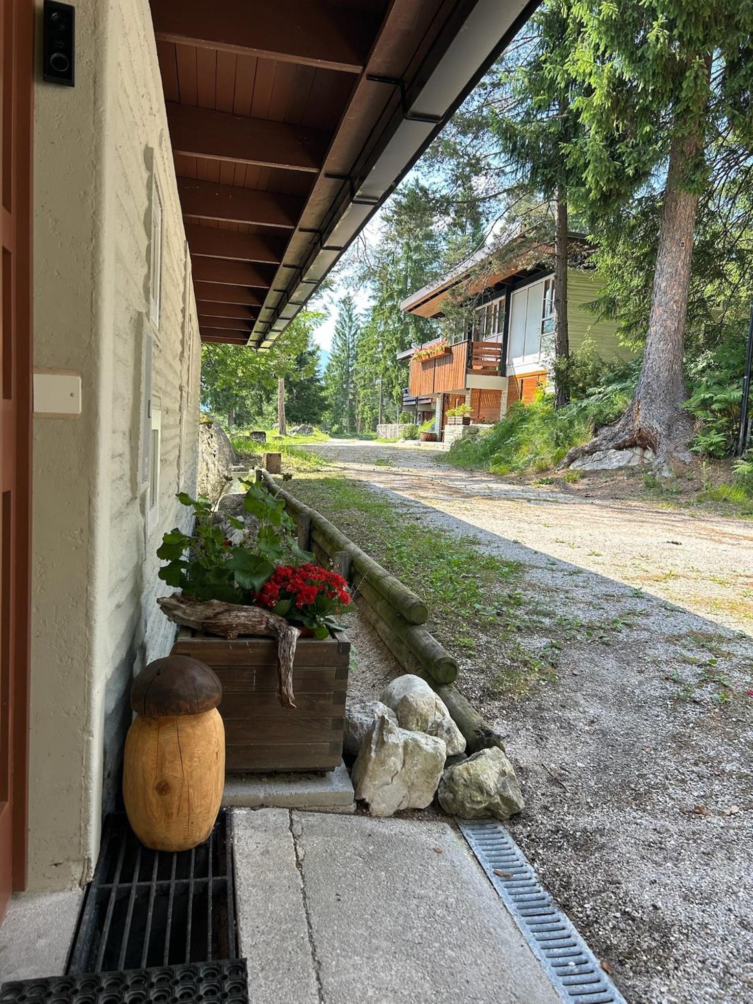 Ca'Mugo, a chalet in the magic woods, near Cortina