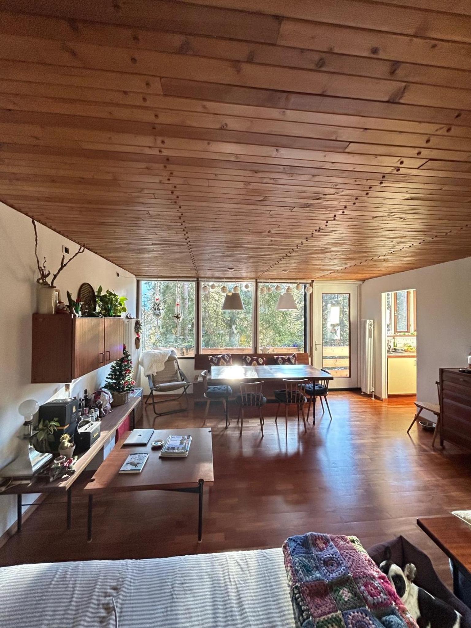Ca'Mugo, a chalet in the magic woods, near Cortina
